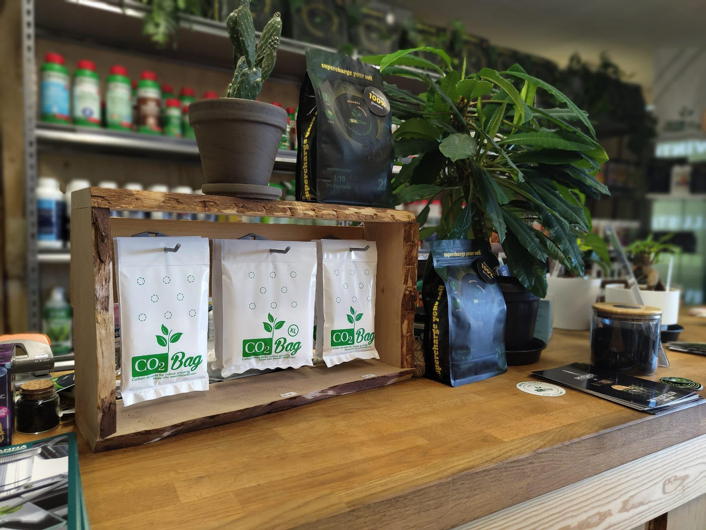 CO2BAG® M for Effective Growth | Improves Taste, Color & Yield | Compact & Maintenance-Free for Indoor Growing and Greenhouses. -2-Pack-