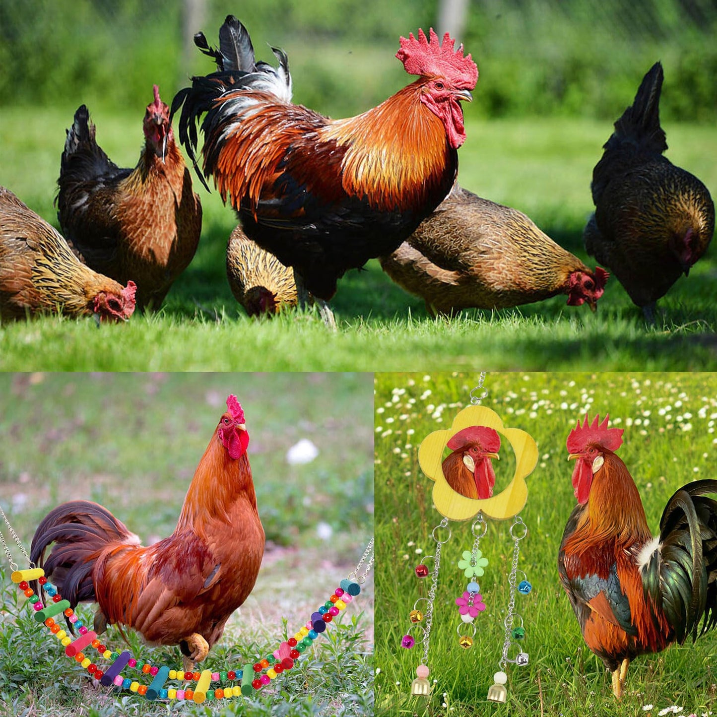 Qivine Chicken Toys for Coop with Swings for Coops, 10Pcs Chicken Toys for Your Chickens with Chicken Mirror, Hanging Chicken Enrichment Toys for Chickens