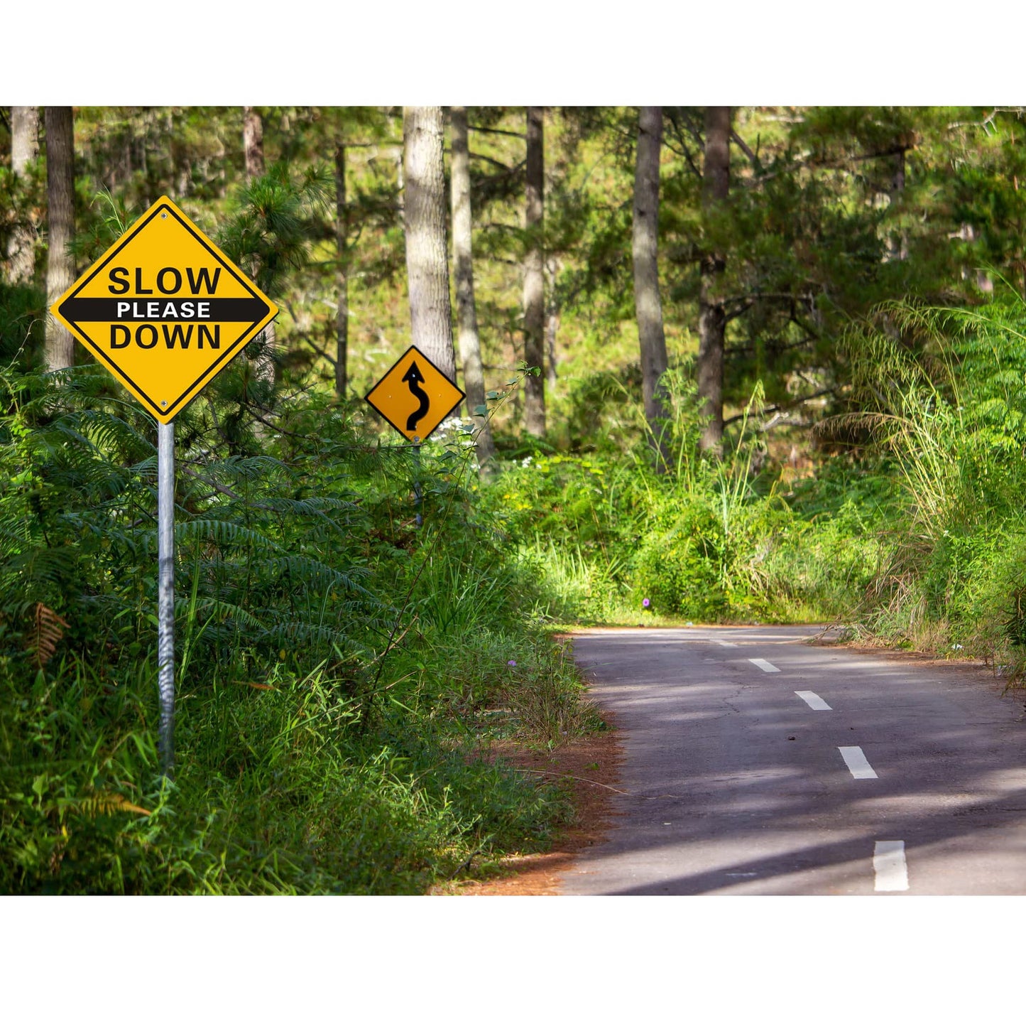 Clotide 4 Pack Please Slow Down Sign. 12 x 12 Inches Reflective Aluminum Sign, Waterproof, Weatherproof, Scratch and UV Resistant. Easy to Mount Indoor or Outdoor use
