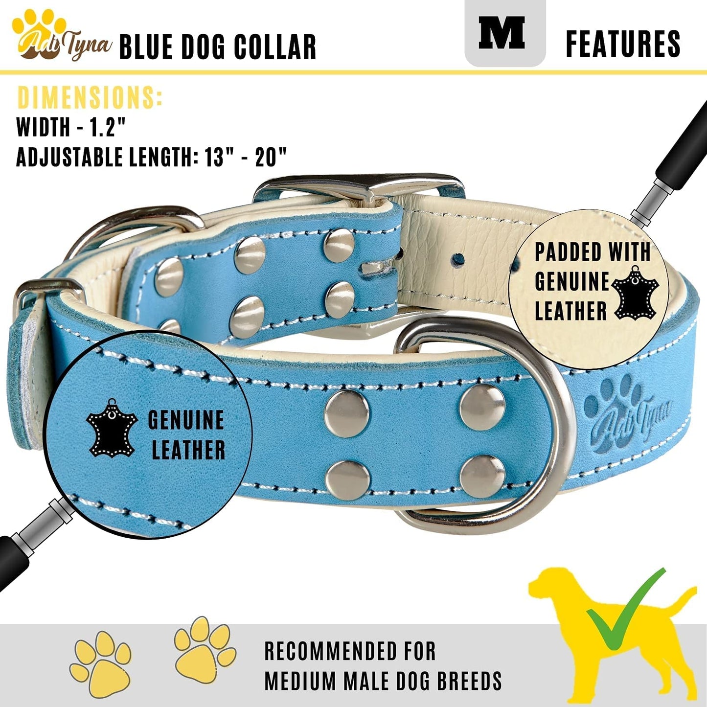 ADITYNA Heavy Duty Leather Dog Collar for Small, Medium, Large, and Extra-Large Dogs - Padded Dog Collar with Genuine Leather - Collier Pour Chien (Medium: Fit 13-20" Neck, Blue)