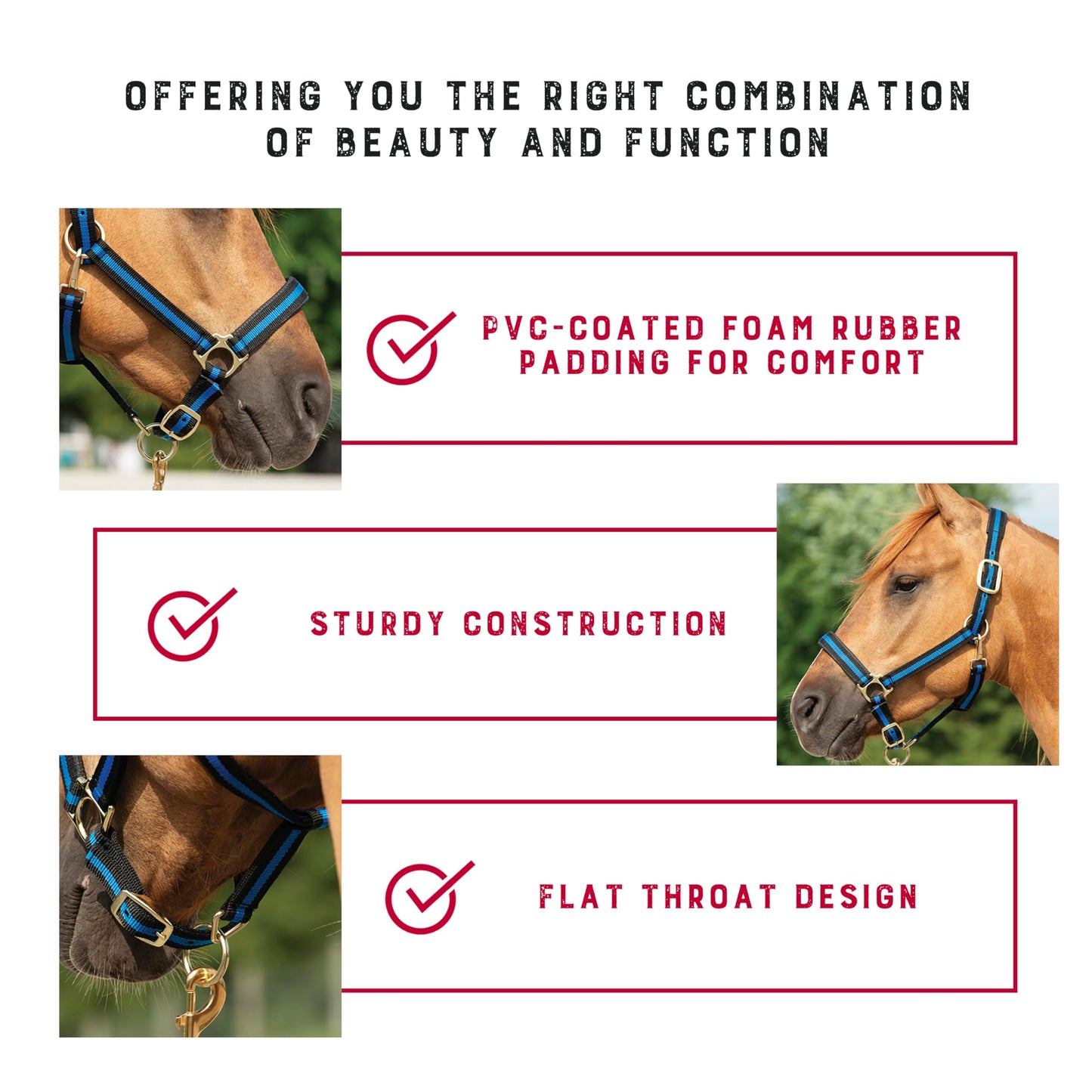 Weaver Leather 35-7435-TU Basic Adjustable Chin and Throat Snap Halter, 1-Inch Average Horse, Turquoise