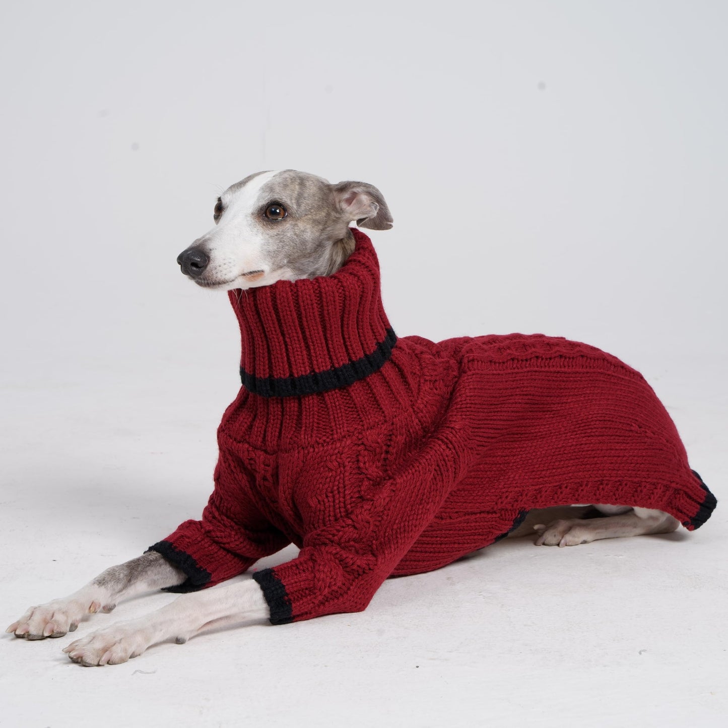 ESCCBOO Italian Greyhound Clothes, Warm Sweater for Whippets, Dog Onesie, Two-Legged Turtleneck Warm Sweater for Small Medium Dogs (Medium, Red)
