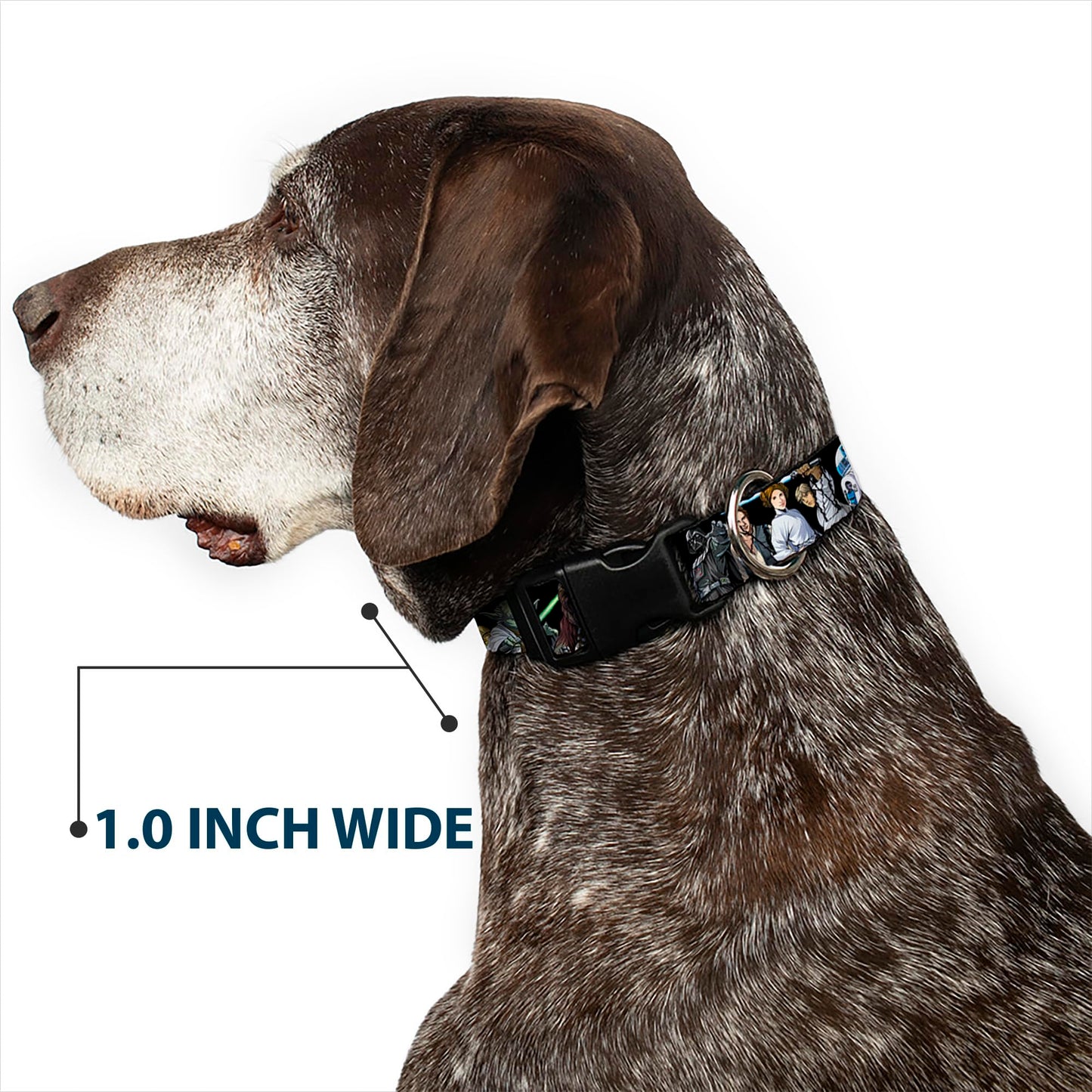 Star Wars Pet Collar, Dog Collar Plastic Buckle, Star Wars Classic Character Poses Black, 8.5 to 12 Inches 0.5 Inch Wide