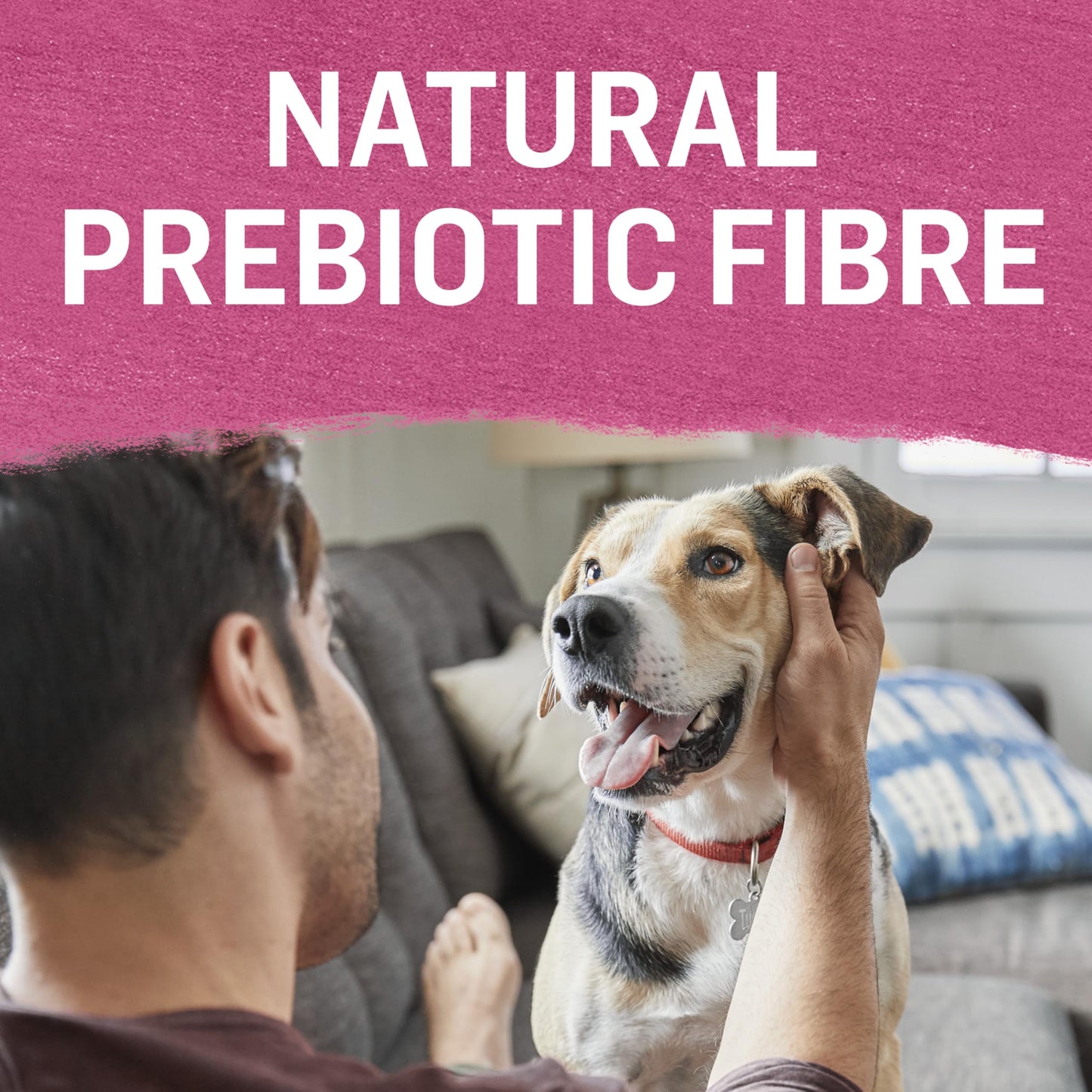 Beyond Natural Wet Dog Food, Farm-Raised Beef & Spinach in Gravy - 354 g Can (12 Pack)