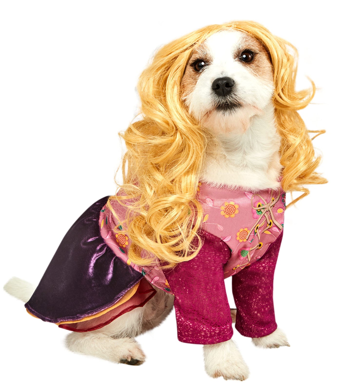 Rubies Disney Hocus Pocus: Sarah Sanderson Pet Costume for for Dogs or Cats, Small