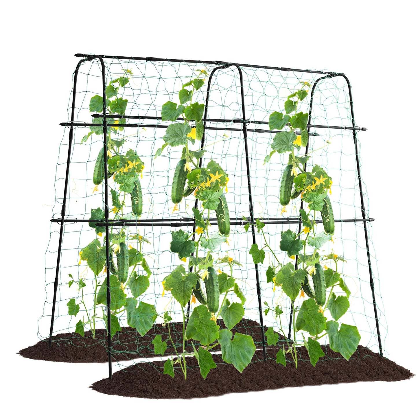 FOLLOOK Cucumber Trellis for Garden, 63" Tall Metal Pea Tunnel Garden Arch Trellis for Climbing Plants Outdoor, A Frame Trellis Support Vegetables Squash Cucumber Trellis for Raised Bed, Lightweight