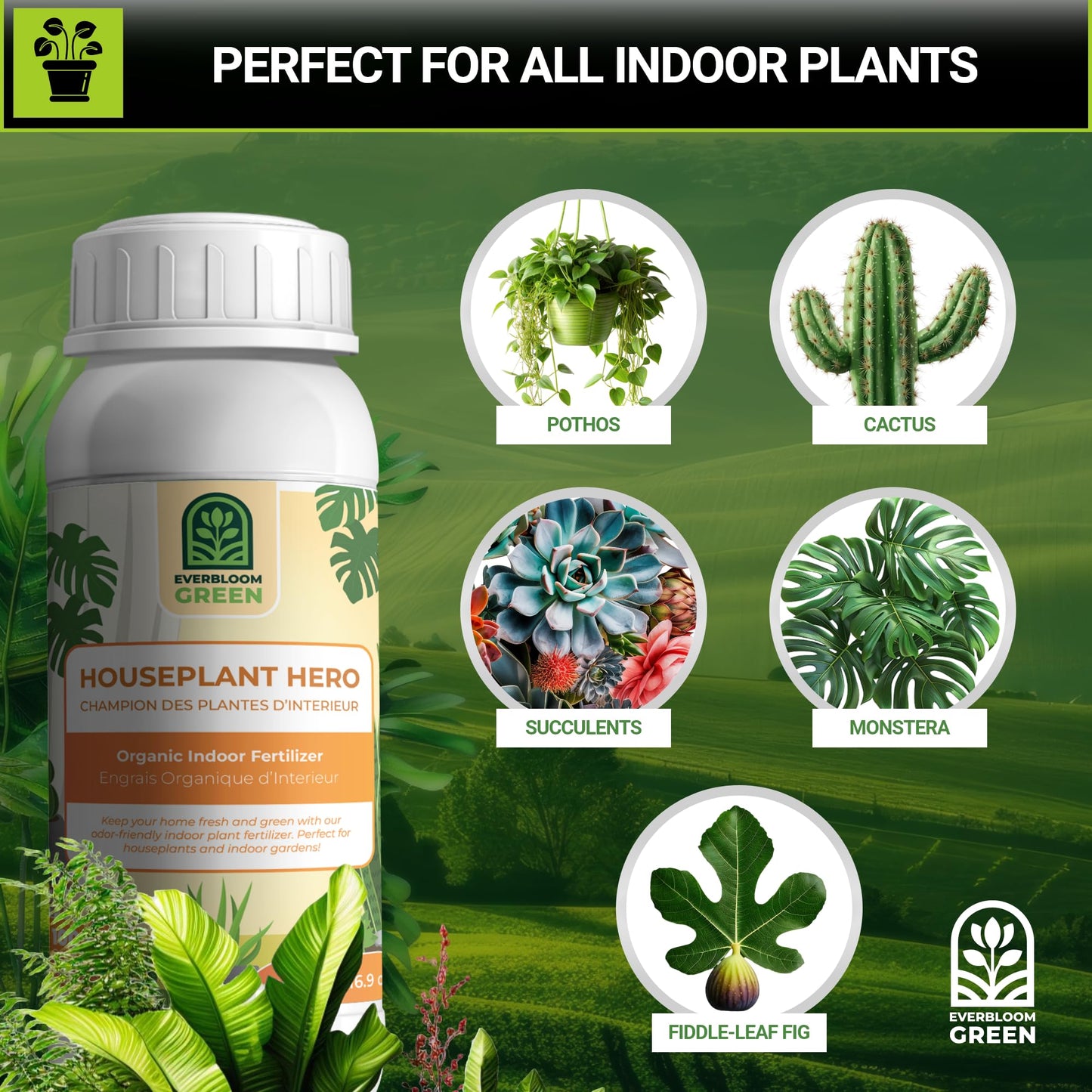 Houseplant Hero - Indoor Organic Liquid Fertilizer - Natural Indoor Plant Food (1L / 33.8oz)