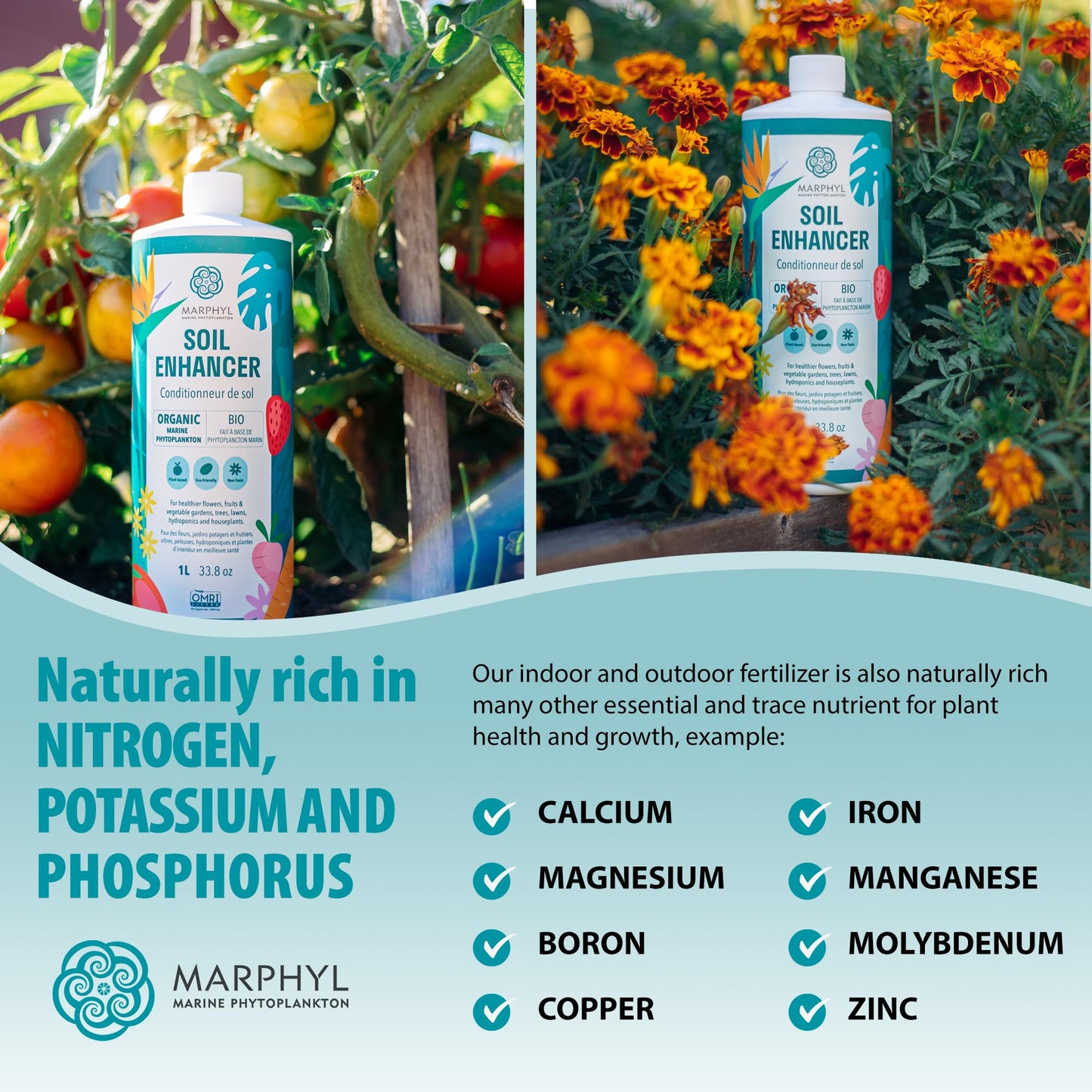 MARPHYL Organic Liquid Fertilizer – Indoor & Outdoor House Plant Fertilizer - All-Purpose Nutrient-Rich Plant Food - Soil Enhancer for Garden, Flowers, Vegetables, Succulents, Bamboo, Hydroponics