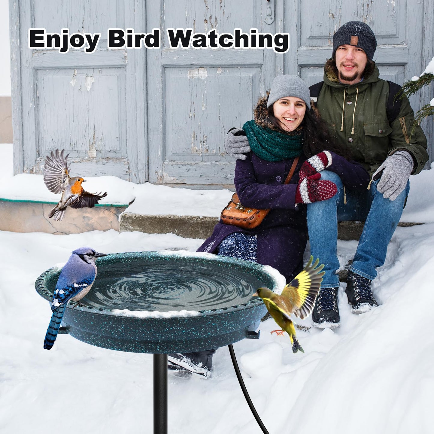 BIRD WISH Heated Bird Bath, Stable 5-Prong Metal Base Thermostat Control Weather Resistance All Seasons Available 75W Heated Bird Baths for Outdoors for Winter Garden Yard Patio Lawn, Spotted Green