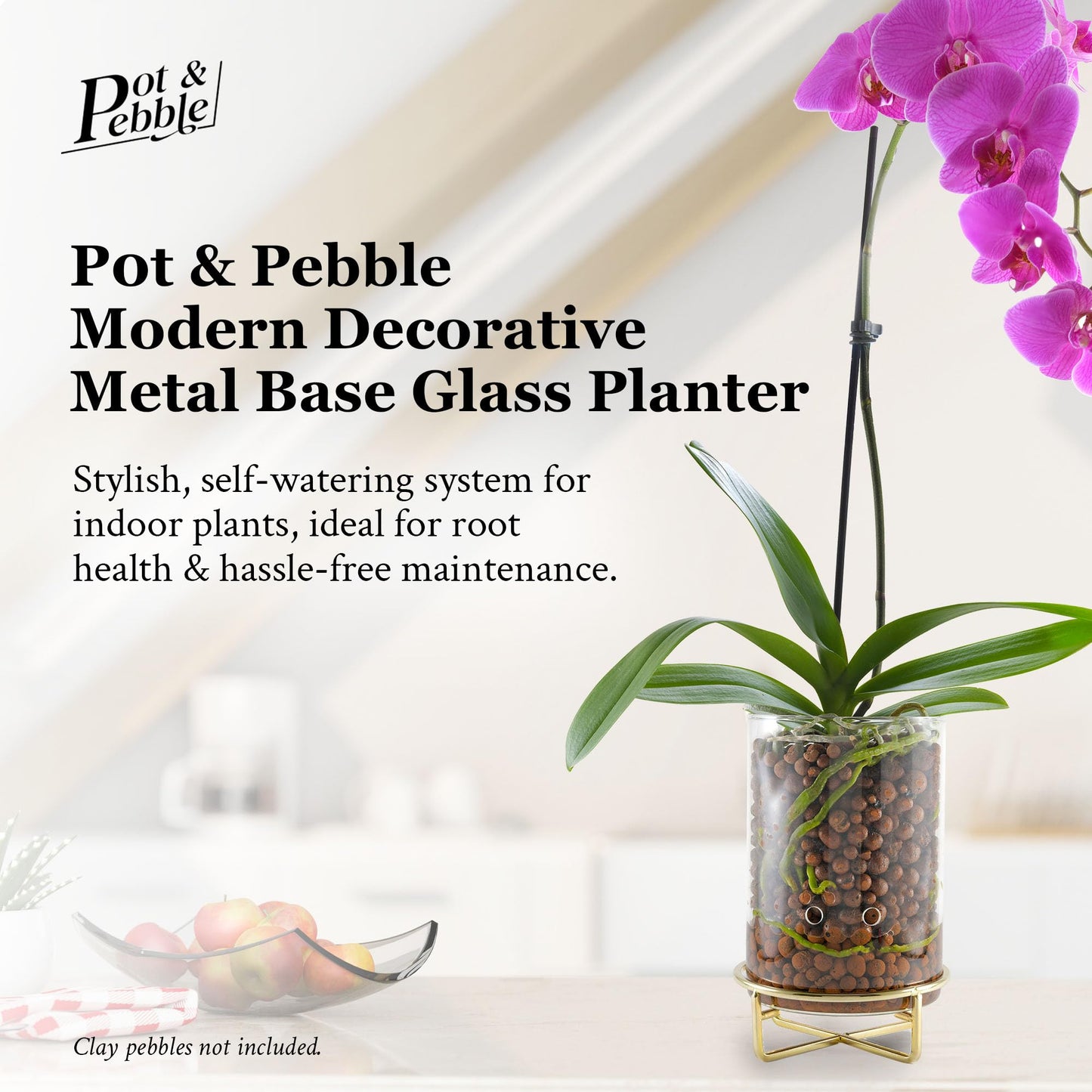 Pot & Pebble - C9 Glass Planter with Decorative Metal Base - Plant Propagation Station with Water Level Control - Plant Cutting Holder for LECA Clay Pebbles/Similar Media - Semi Hydroponic Planter