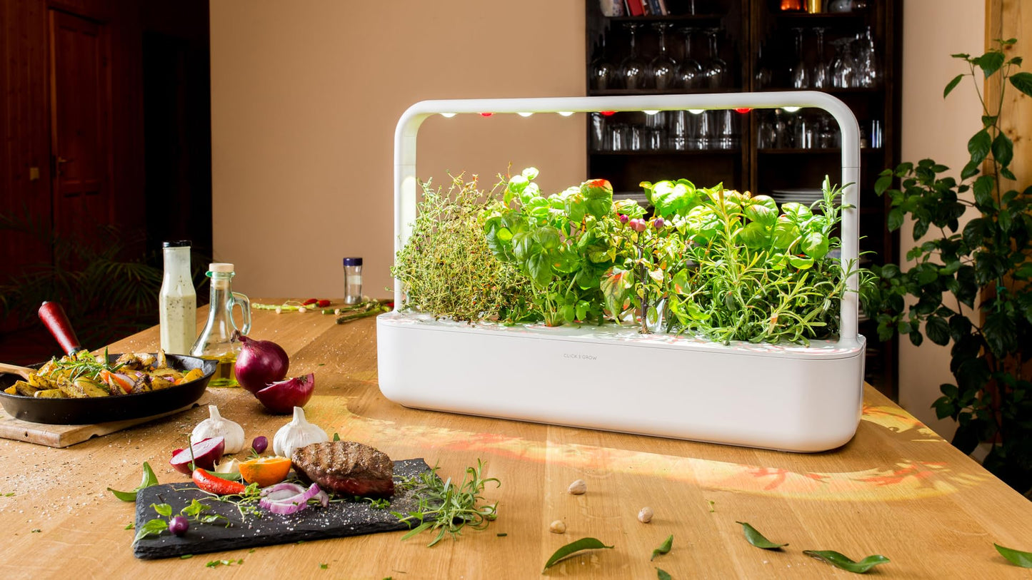 Click and Grow Smart Garden Steak Seasoning Mix, 9-Pack