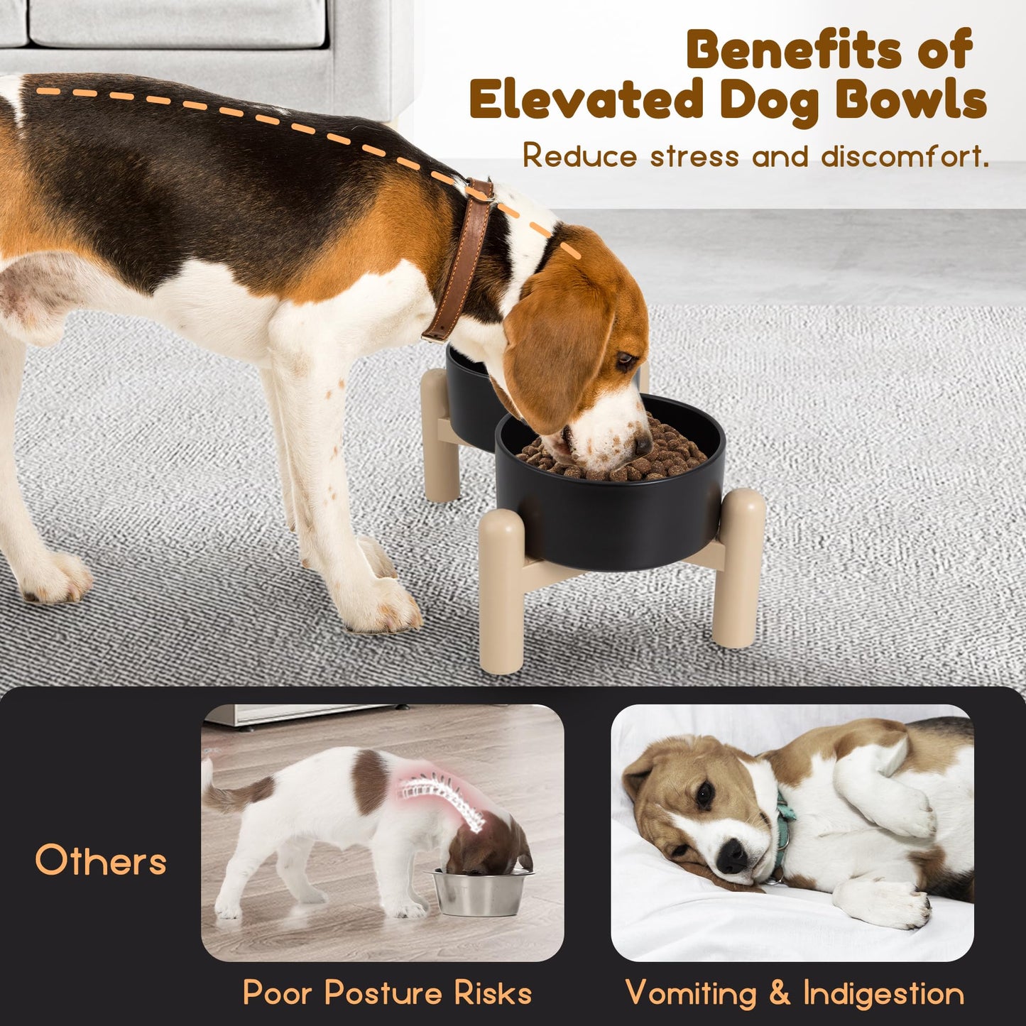 Elevated Ceramic Dog Bowl Set of 2 - Double Dishes with Non-Slip Stand - Raised Food and Water Bowls - Ideal for Small to Medium Dogs - Each Holds 2 Cups (28.75 fl oz) - Grey