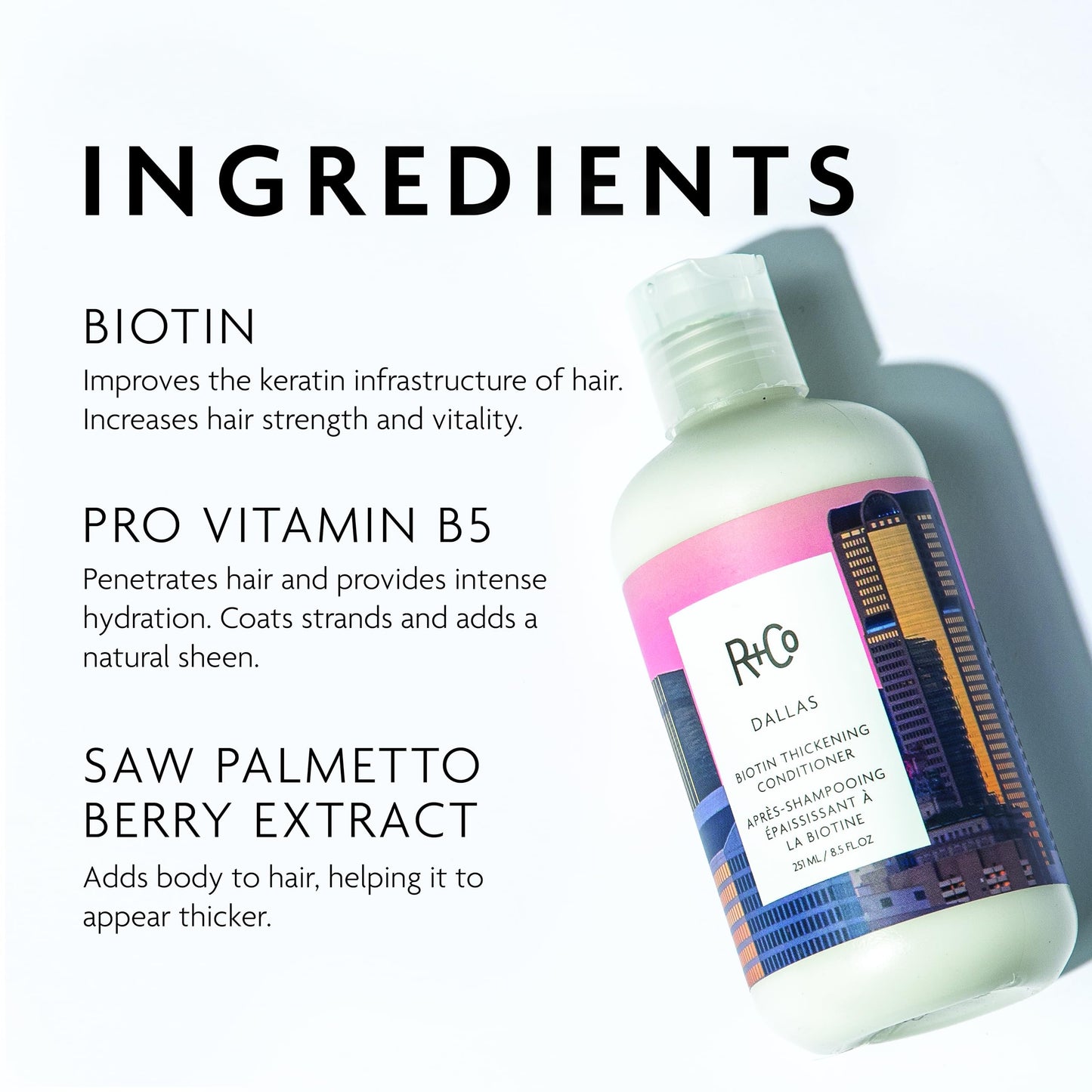 R+Co Dallas Biotin Thickening Conditioner | Weightless Hydration, Strengthens + Enhances Shine | Vegan + Cruelty-Free | 8.5 Fl Oz