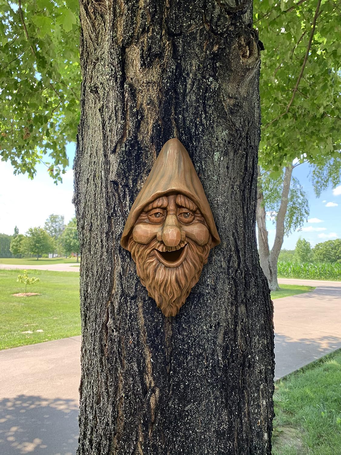 Red Carpet Studios Birdie in The Woods Birdhouse, Harry Face