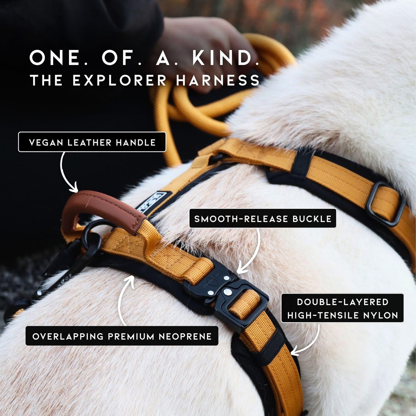 MADE TO ROAM Premium Explorer Harness - Y-Shaped Dog Harness with Adjustable Durable Nylon, Soft Padding, Metal Buckles and Leather Handle for Small, Medium, Large Dogs (Maine Marina, Size 4)