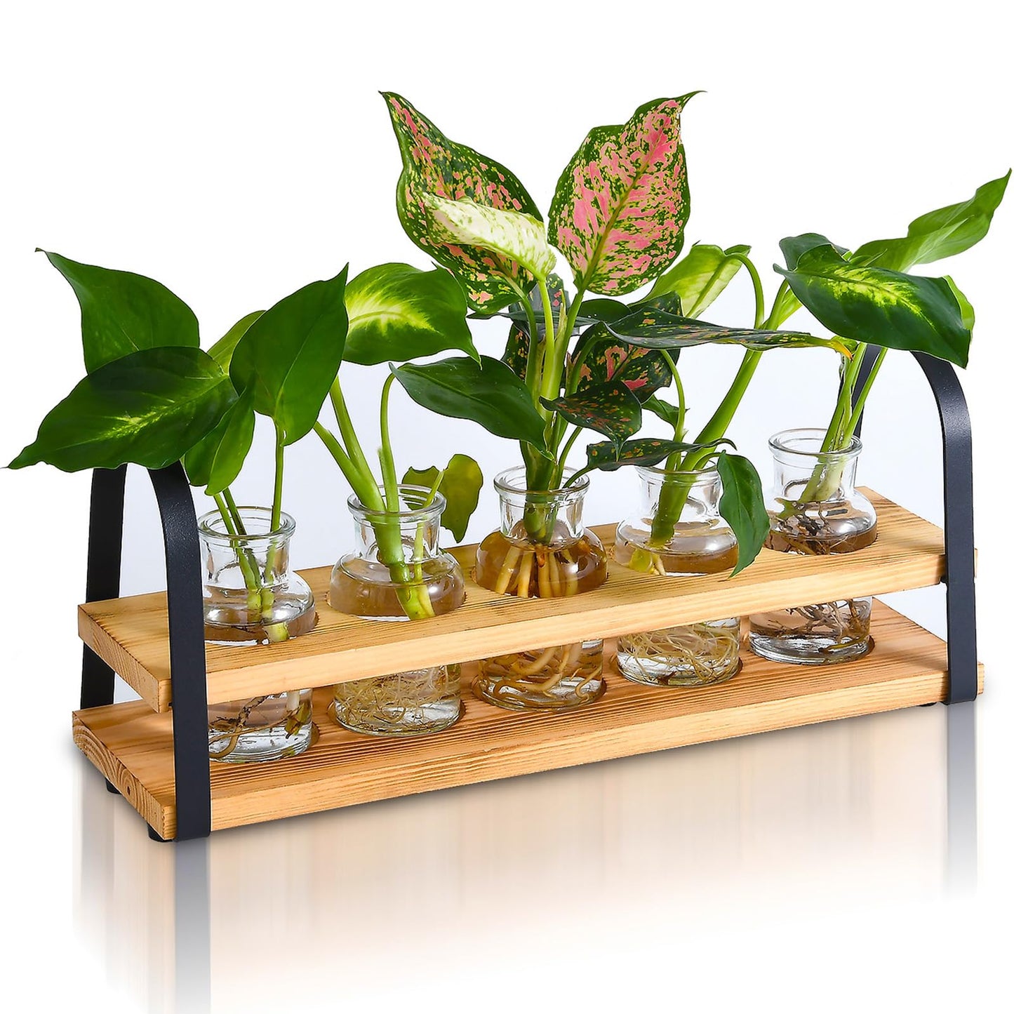 VIKEYHOME Plant Propagation Station with Wood Stand, Desktop Terrarium for Hydroponic, Flower Vase for Home, Kitchen, Office Decor, Plant Lover Gifts