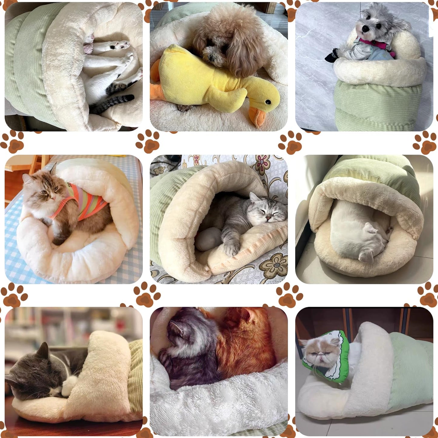 Bed for Dog and Cat, Pet Bed, Ultra Soft Cute Plush Slipper Cat Cave Bed, Anti Slip Warm Pet House Nest, Self-Warming, Ideal for Indoor Use - Fits up to 25lbs (30"X22", L, Green)