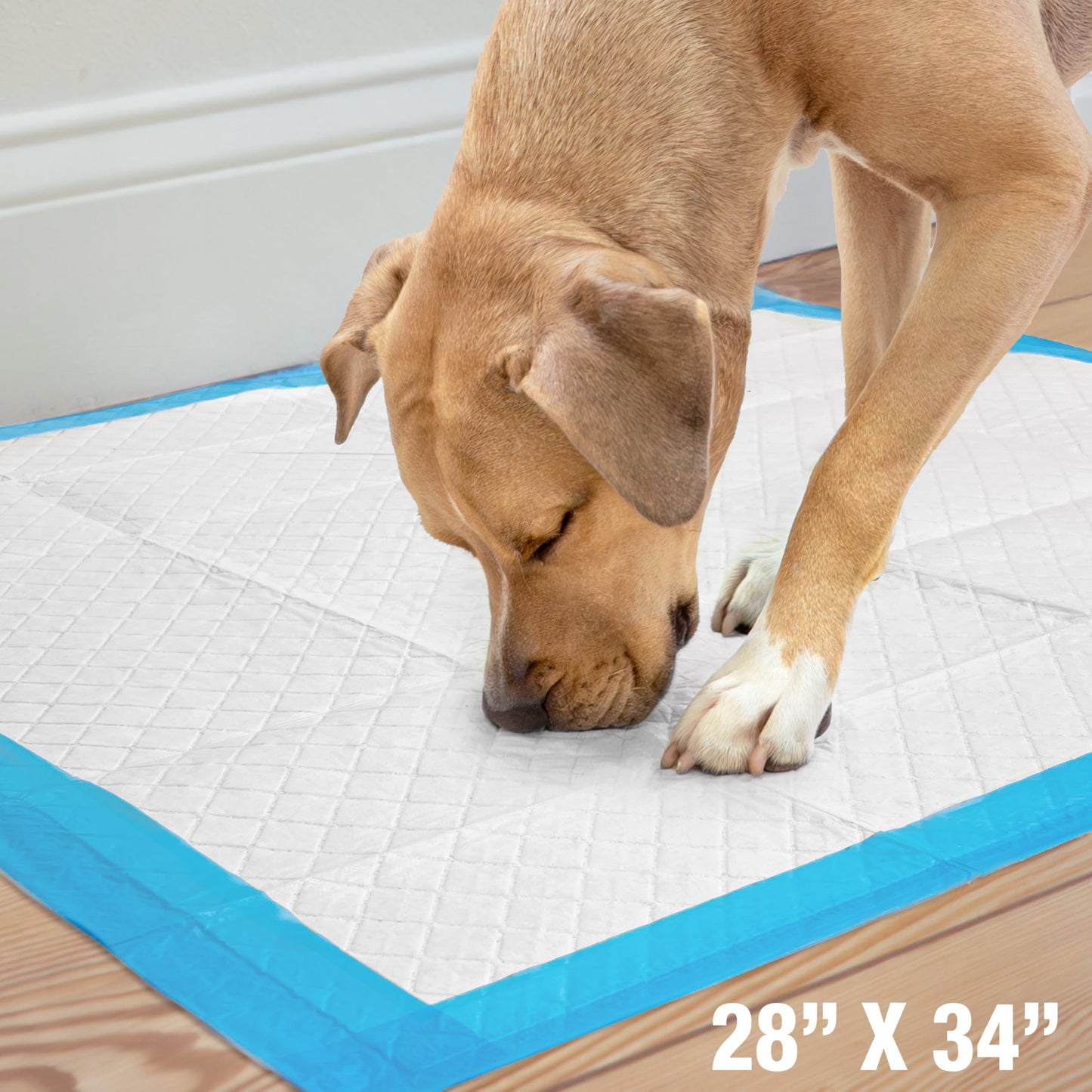 Wee Wee Dog Pee Pads Extra Large | 40 Count | Puppy Training Pee Pads for Dogs | XL Size