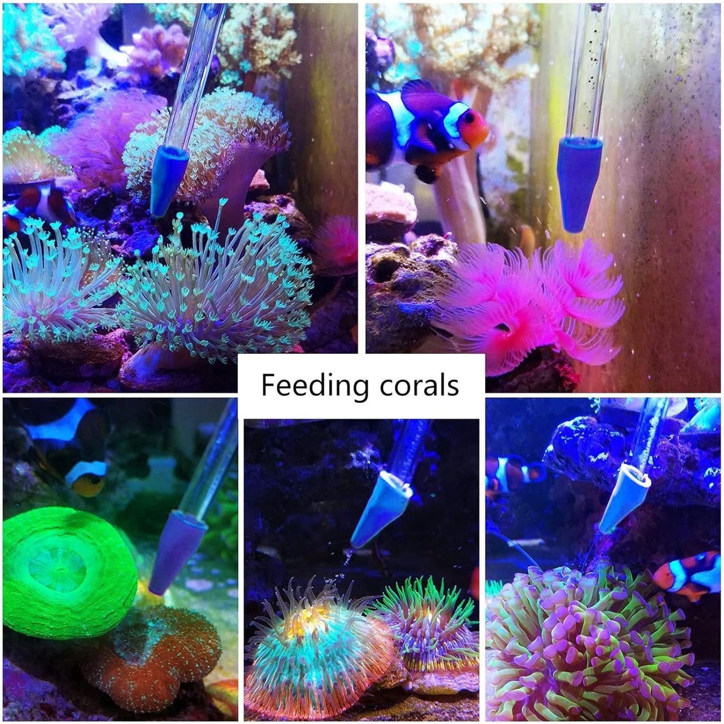 31.5-Inch Long Coral Reef Grabber, Aquarium Veggie Feeder, Food Clip Feeding (Anti-Rust)