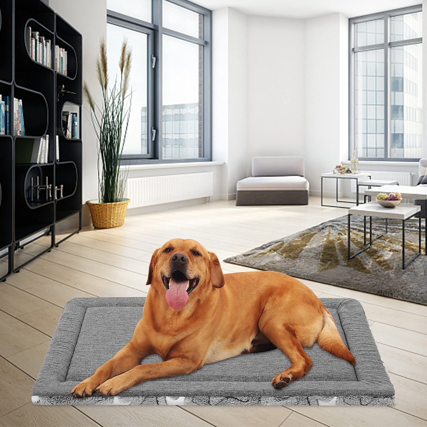 EMPSIGN Fancy Dog Bed Mat, Pet Bed Pad Reversible (Cool & Warm), Machine Washable Crate Pad, Pet Sleeping Mat for Small to XXX-Large Dogs, Grey, Star Pattern