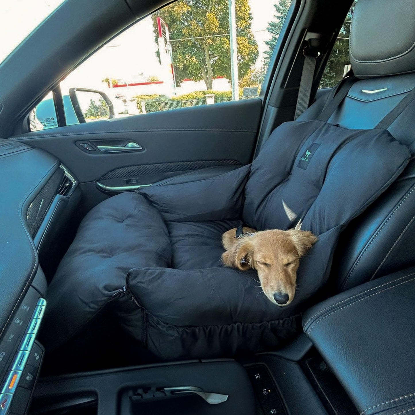 JACKO & CO - Premium Dog Car Seat Bed for Small & Medium Dogs, Soft Travel Bed & Carrier Bag for Pets, Puppies, Cats Front or Back Seat, Machine Washable & Water Resistant (Black, V1 Small (1-25lbs)