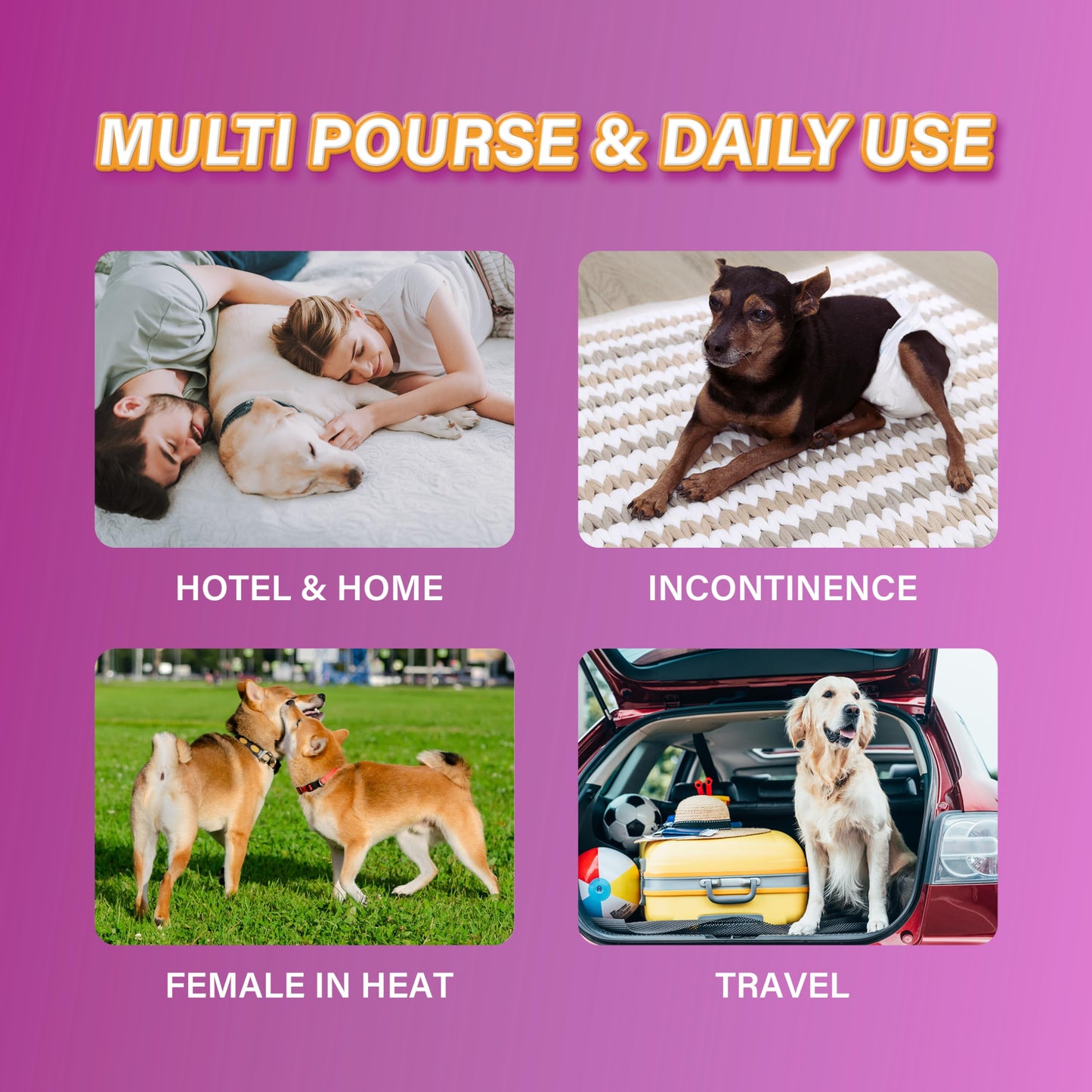 HONEY CARE All-Absorb Disposable Female Dog Diapers M Size, Improved Bigger Size, 36 Count, Super Absorbent, Breathable, Wetness Indicator (Pack of 1, 36 Count Total)