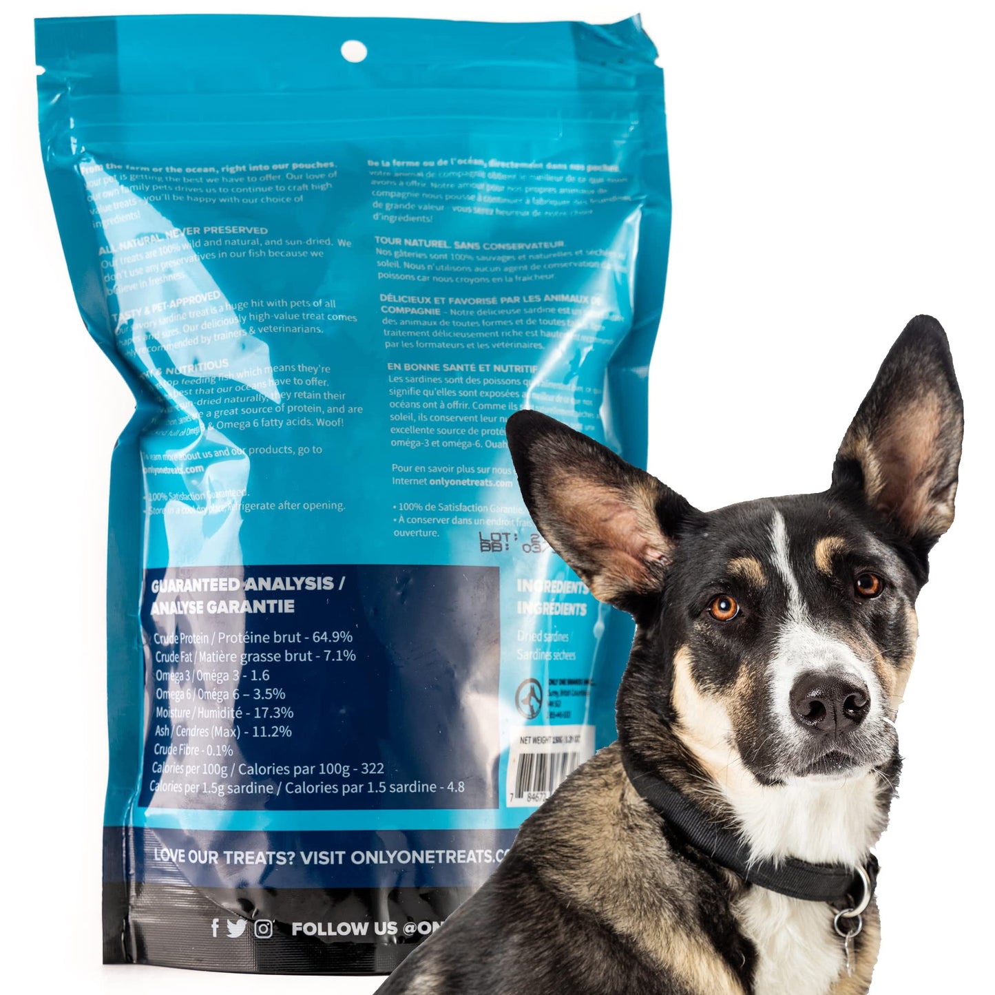 Only One Treats Dried Sardines for Dogs and Cats – All-Natural Training Treats with Omega 3 and Calcium – Sun-Dried Pet Treats for Dogs and Cats Brain, Heart, Skin and Coat Health (150g, Pack of 3)