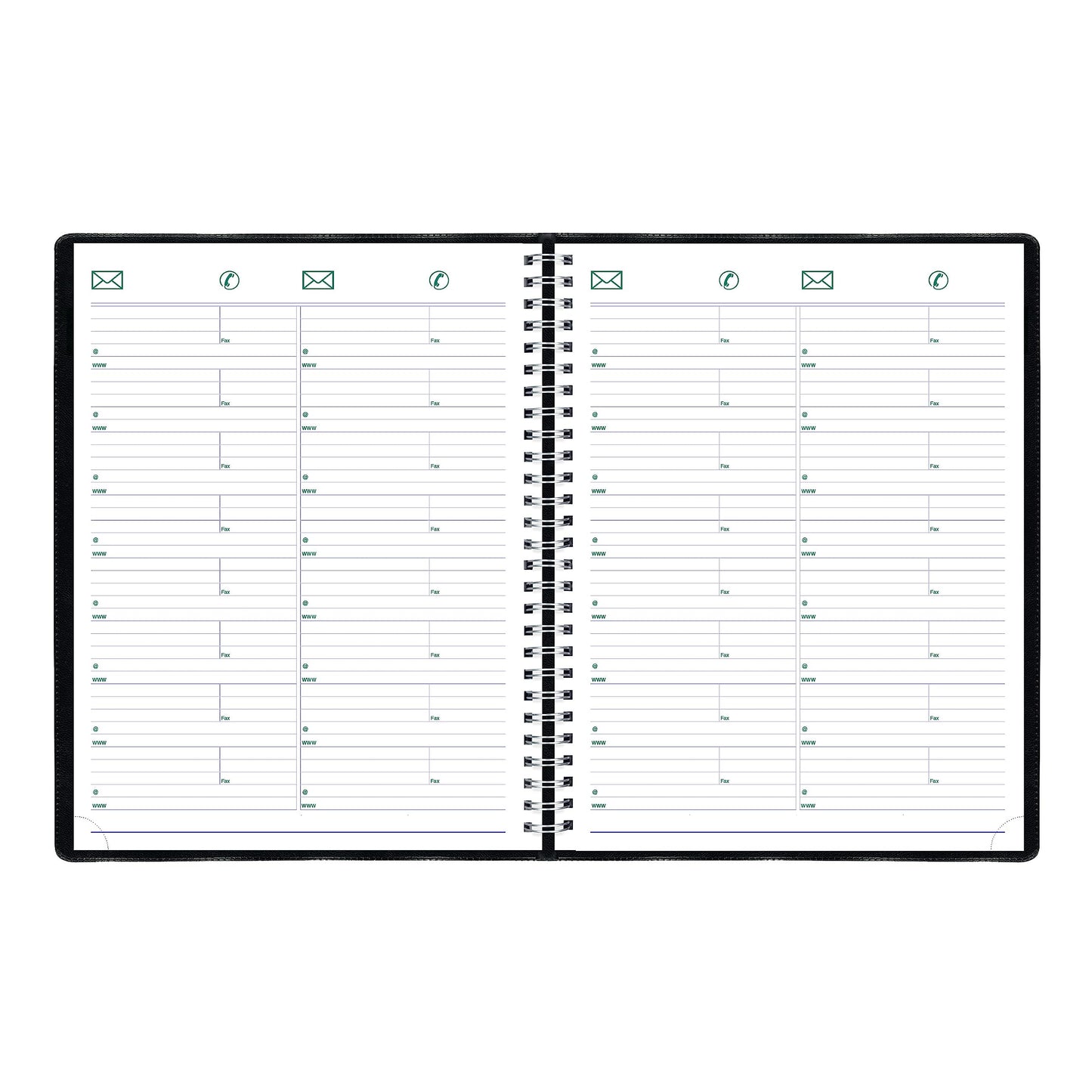 Blueline 2024 Timanager Planifi-Action Weekly/Monthly Planner, Appointment Book, 13 Months, December to December, Twin-Wire Binding, 11" x 8.5", English, Black (C5930.81T-24)