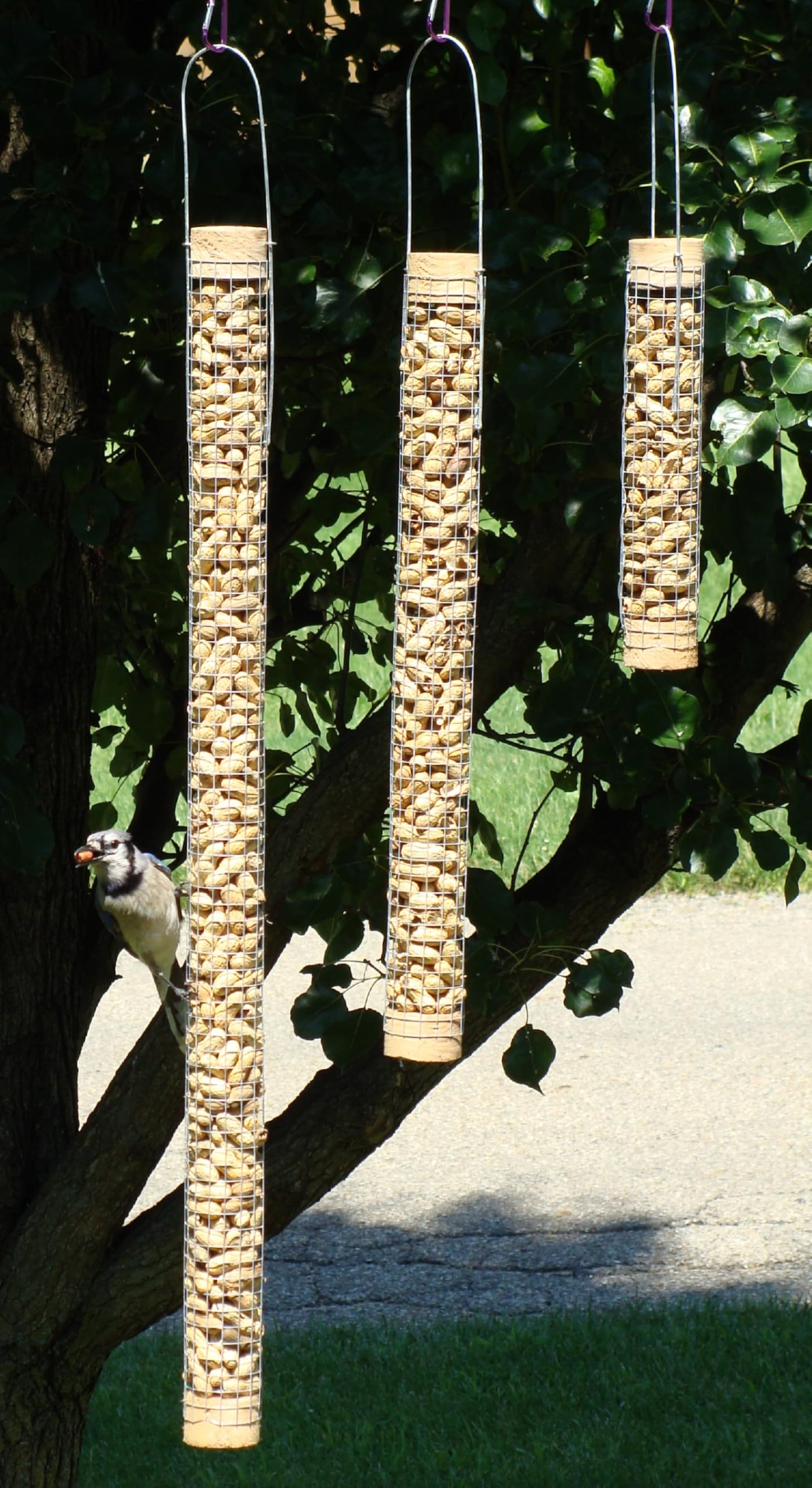 Backyard Birds Unlimited Cedar Whole in-Shell Peanut Outdoor Hanging Wild Bird Feeder Made in The USA-Small 21" Inch