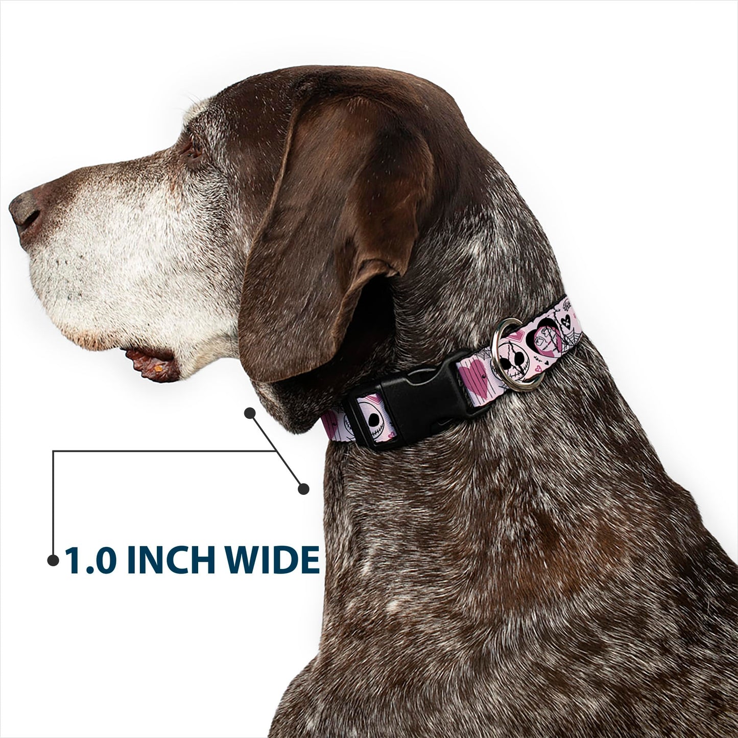 Disney Pet Collar, Dog Collar Plastic Buckle, The Nightmare Before Christmas Jack and Sally Doodles Pink, 8.5 to 12 Inches 0.5 Inch Wide