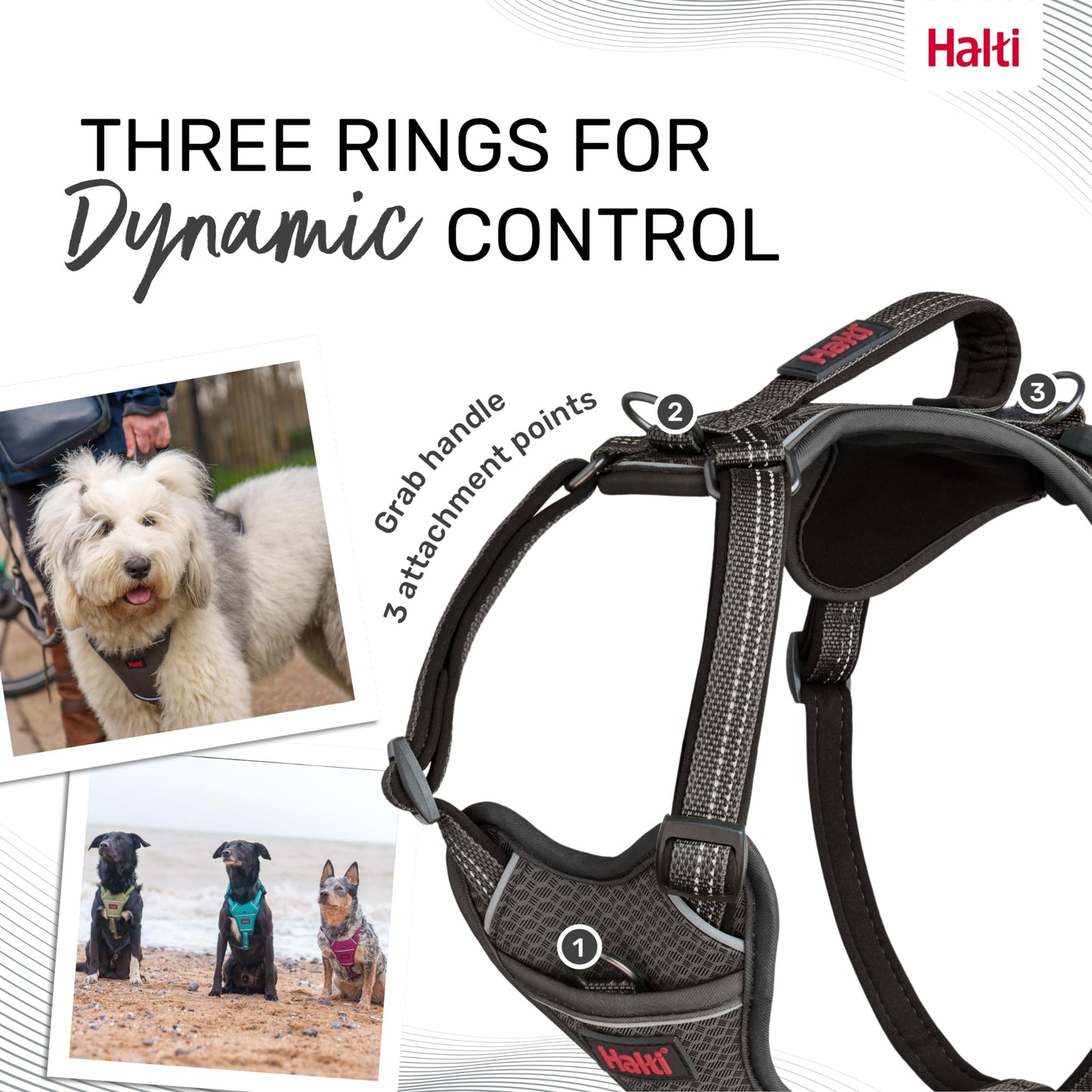 HALTI Anatomy Dog Harness with Handle - Provides Your Dog Freedom of Movement for Comfortable Walking. 3 Leash Attachment Points, Neoprene Padded, Adjustable, and Reflective (Size Large, Grey)