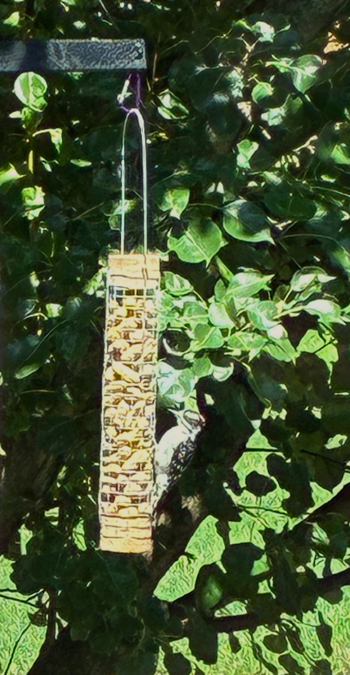 Backyard Birds Unlimited Cedar Whole in-Shell Peanut Outdoor Hanging Wild Bird Feeder Made in The USA-Small 21" Inch