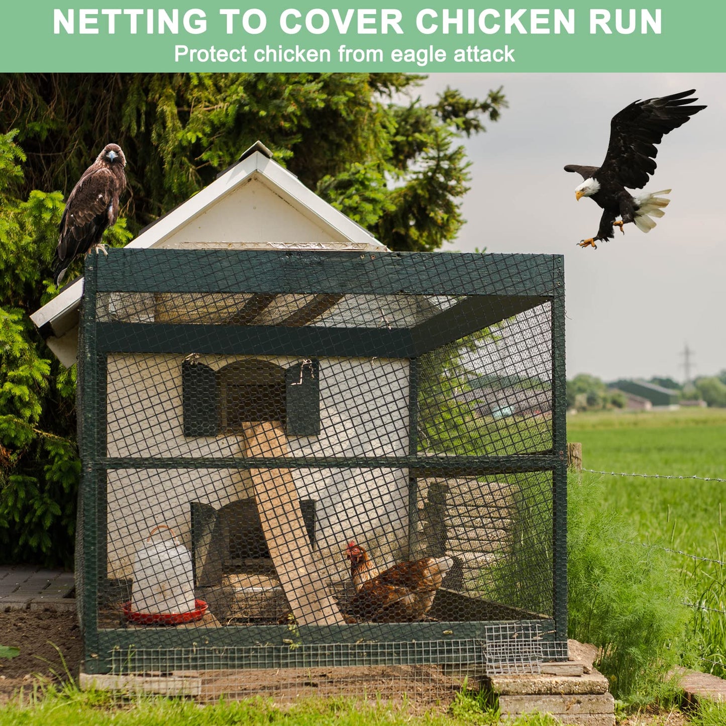 BSTPCOO 25'x25' Bird Netting for Chicken Coop, 3/4" Mesh Poultry Netting Roof Hawk, Aviary Deer Fence Pests Trellis Garden for Fruits Trees Plant