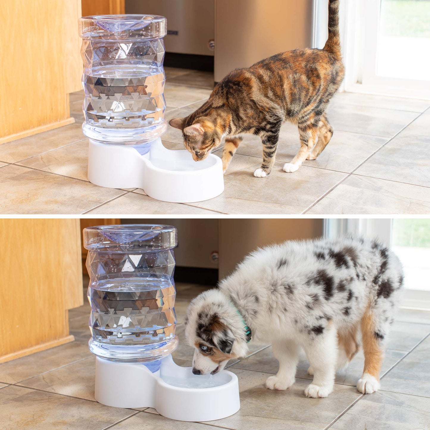 PetFusion H2O Gravity Pet Water Dispenser. Durable 2.5 Gallon Water Feeder. Automatic Water Station for Cats & Small, Medium, Large Dogs, Transparent (PF-GW1)