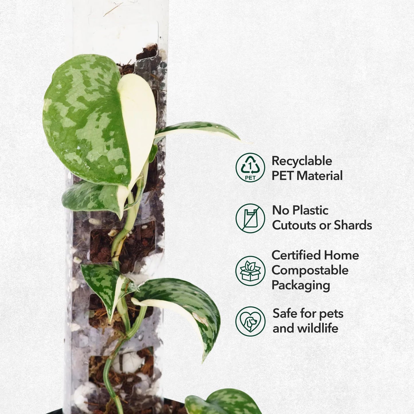 THICCLY V3 Medium GrowPole - Front Opening, Stackable Plastic Moss Poles for Climbing Plants, Monstera Plant Support-Plant Climbing Pole, DIY Plant Support, Works for Philodendron & Anthuriums - 5 Pcs