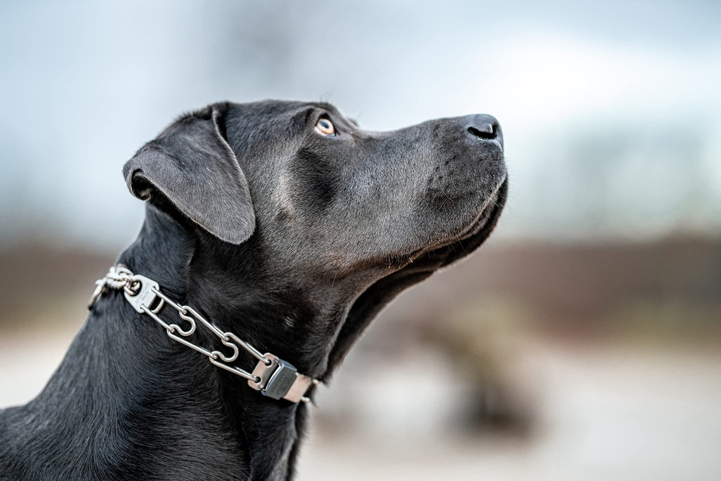 HS HERM. SPRENGER GERMANY Dog Training Prong Collar with Quick Release Cliclock Buckle and Swivel Ring | Adjustable Length Stainless Steel Made in for Large Dogs, 25in (up to 20'' neck) x 3.2mm Links
