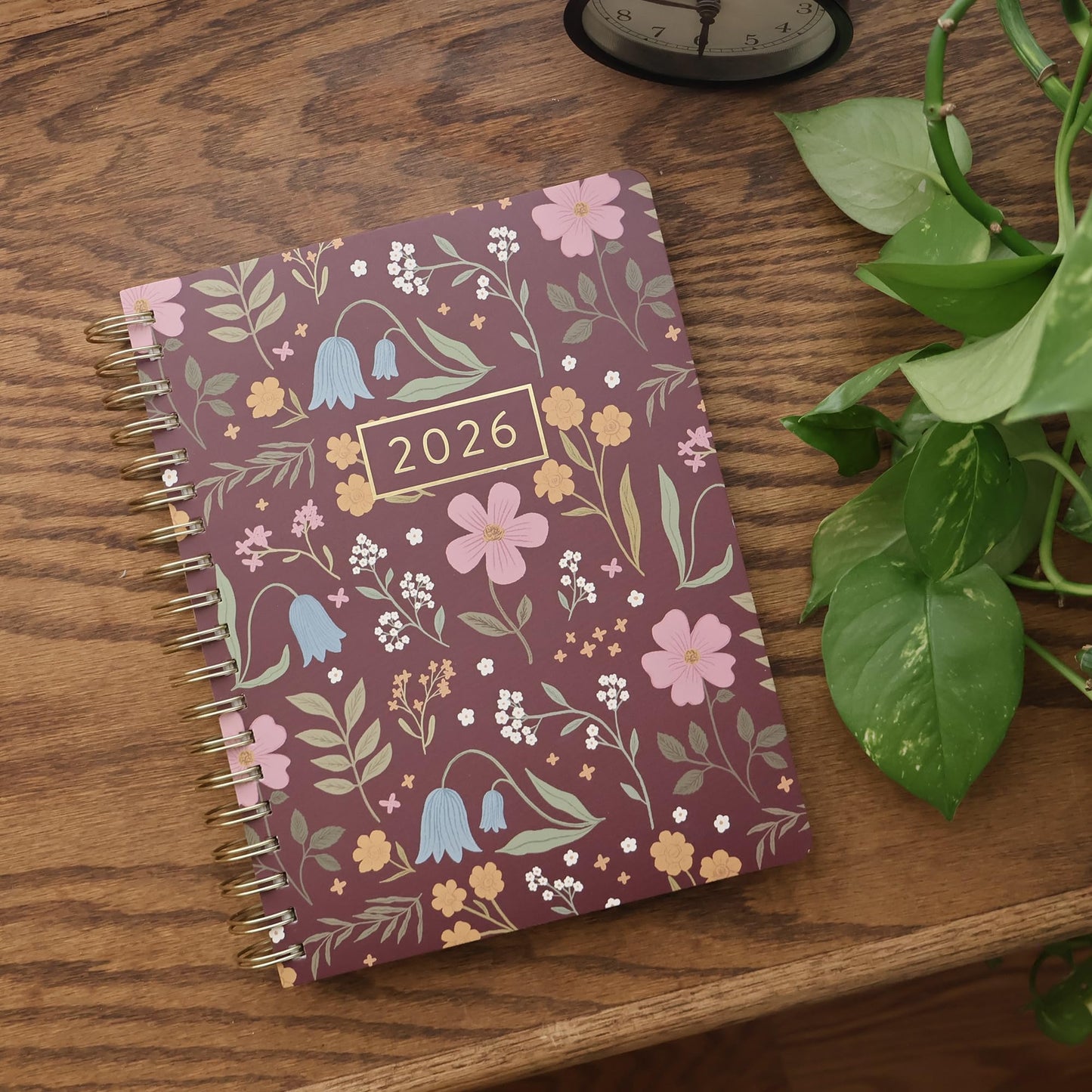 Fringe Studio 2026 Spiral Weekly Planner, Aug 2025 - Dec 2026, 17 Month, Paperback Cover, "MOODY STORYBOOK", 8"w x 10"h, 240 Pages (844PA051)