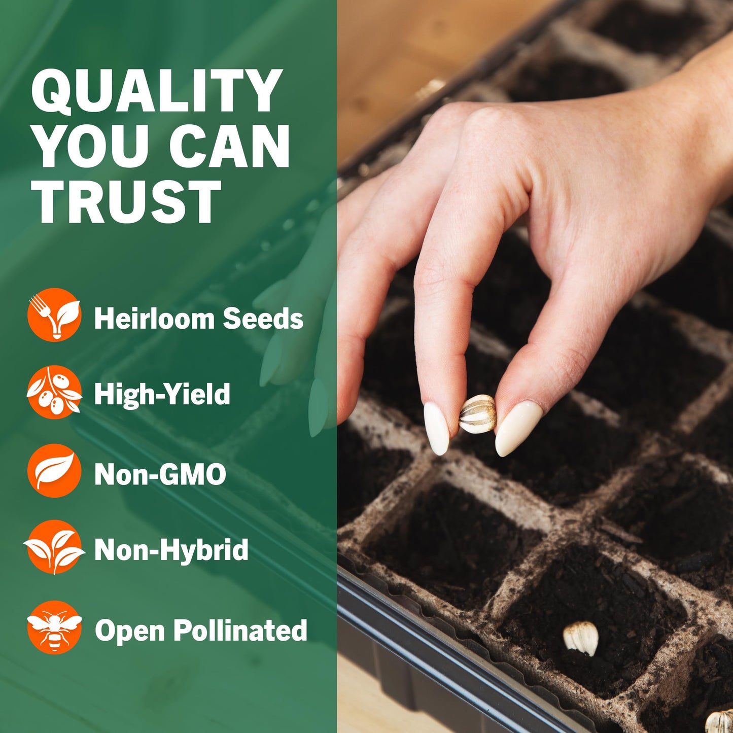 15,000+ Non-GMO Heirloom Vegetable Seeds 32 Variety Pack by Open Seed Vault