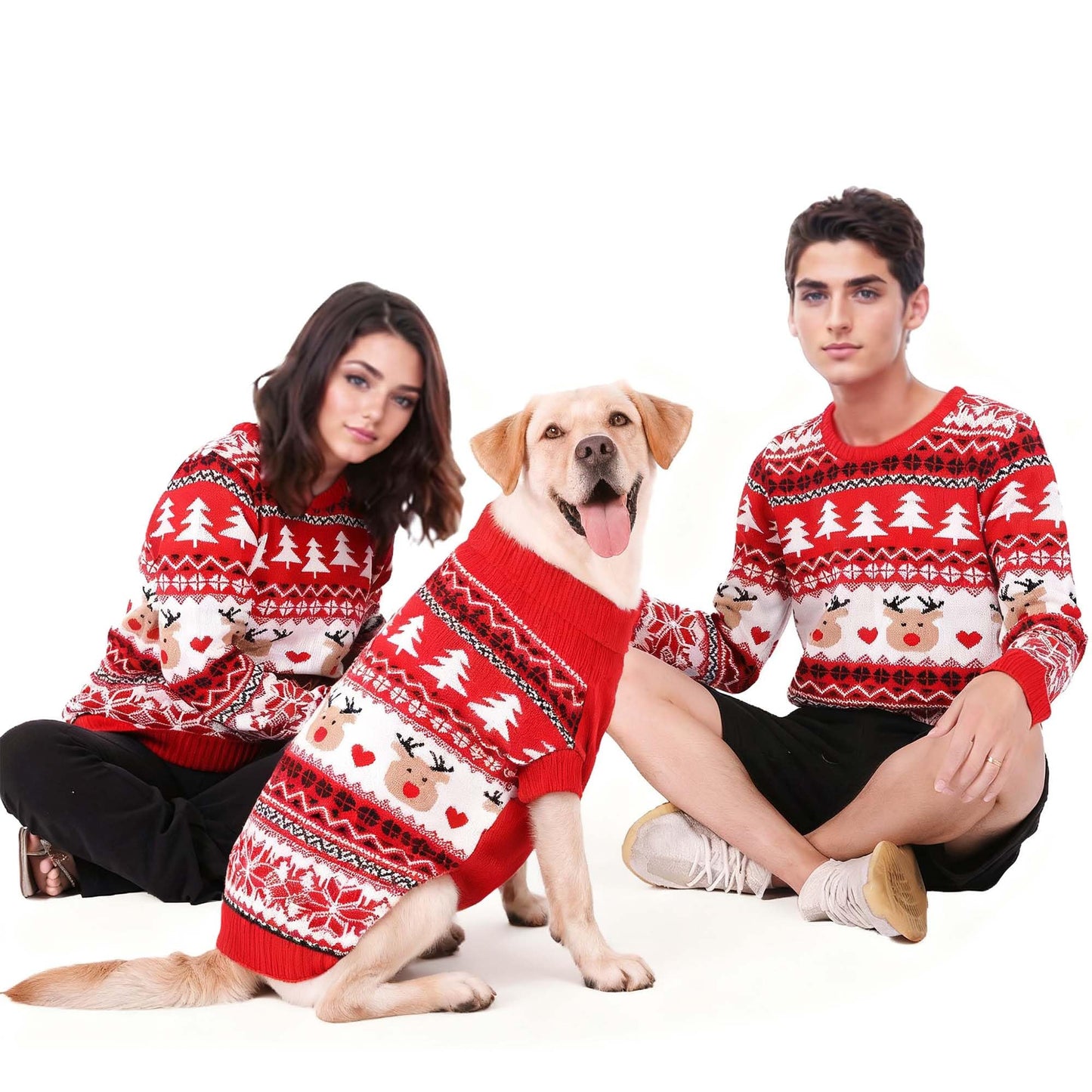 MuYaoPet Family Matching Dog and Owner Clothes Outfits,Christmas Pet Cat Sweater Costume for Small Medium Extra Large Dogs/Women/Men-Dog and Owner Matching Sweaters Separately(Only for Pet, Pet 4XL)