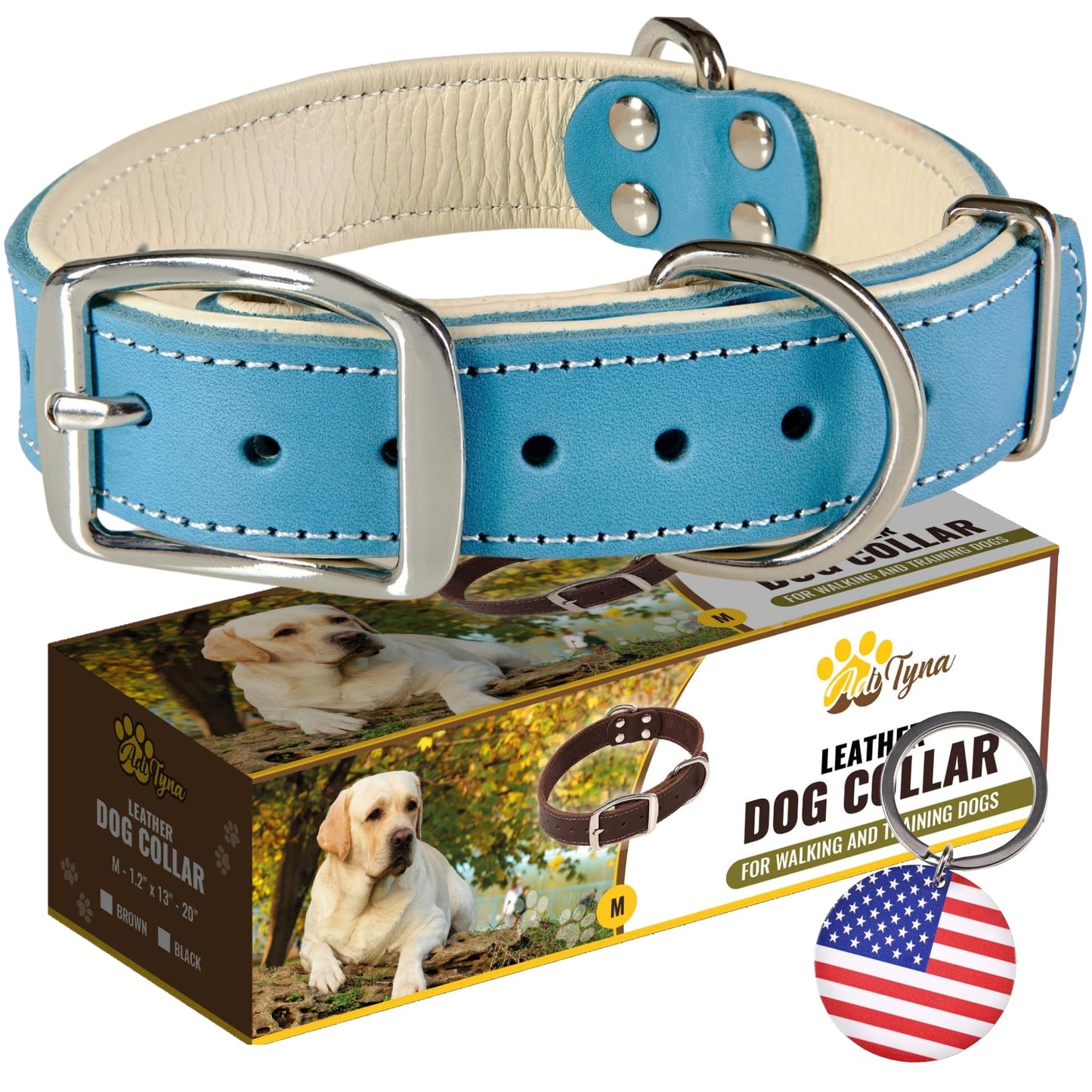 ADITYNA Heavy Duty Leather Dog Collar for Small, Medium, Large, and Extra-Large Dogs - Padded Dog Collar with Genuine Leather - Collier Pour Chien (Medium: Fit 13-20" Neck, Blue)