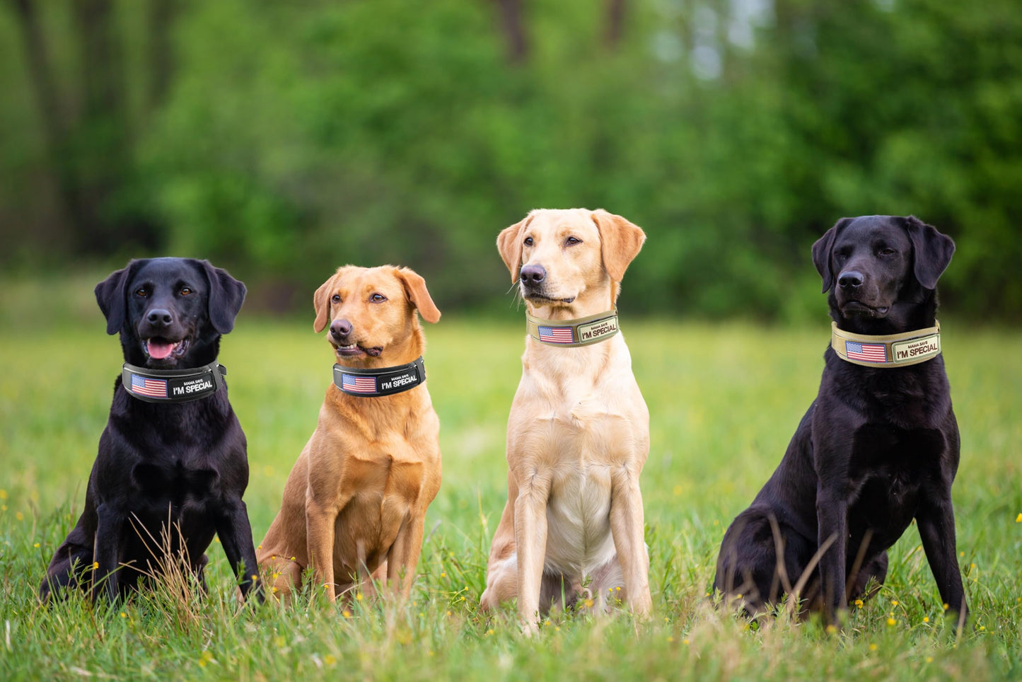 Comfluxe 2.5" Tactical Dog Collar for Medium Dogs, Adjustable Heavy Duty Military Nylon Dog Collar with Reflective Stitching & Padded Handle for Hiking/Running/Training (Black,M)