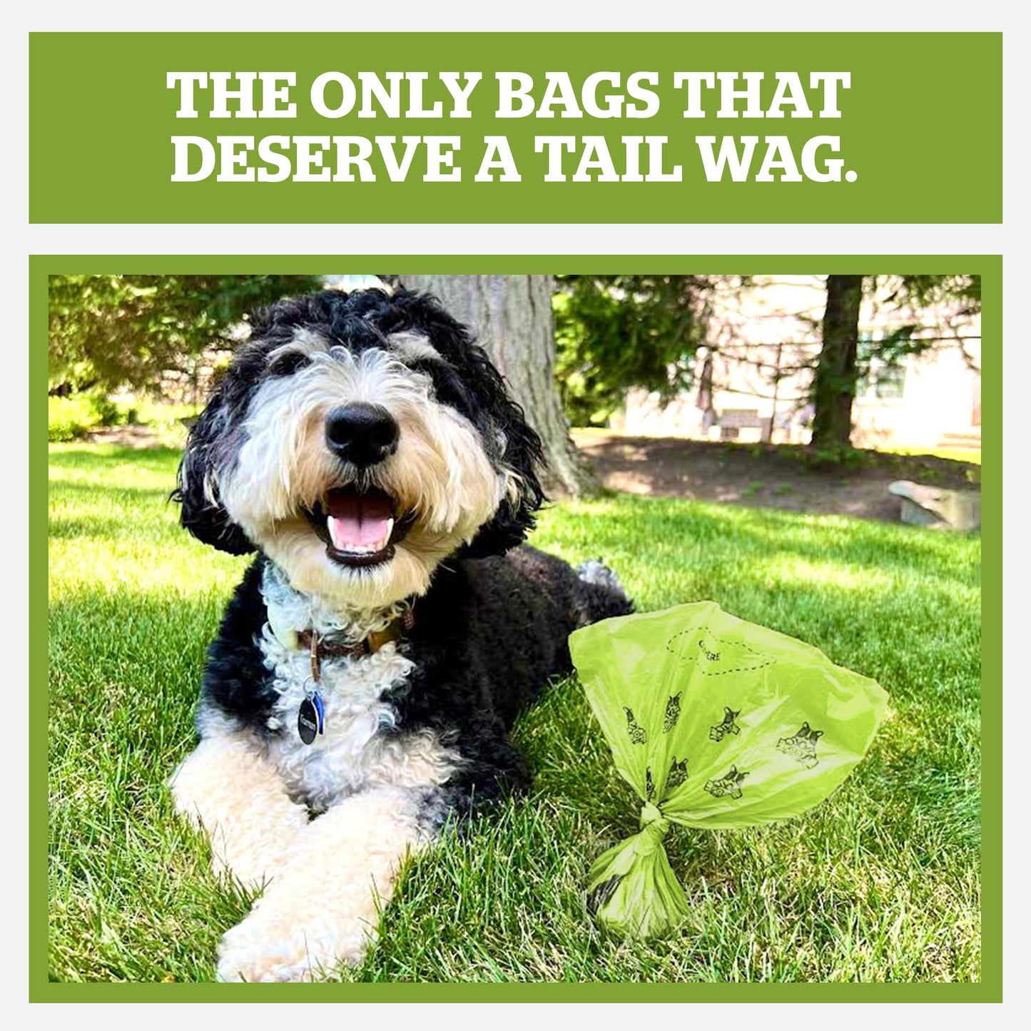 Pogi’s Poop Bags - Large, Leak-Proof Pet Waste Bags, Fresh Scent - 60 Rolls (900 Bags)