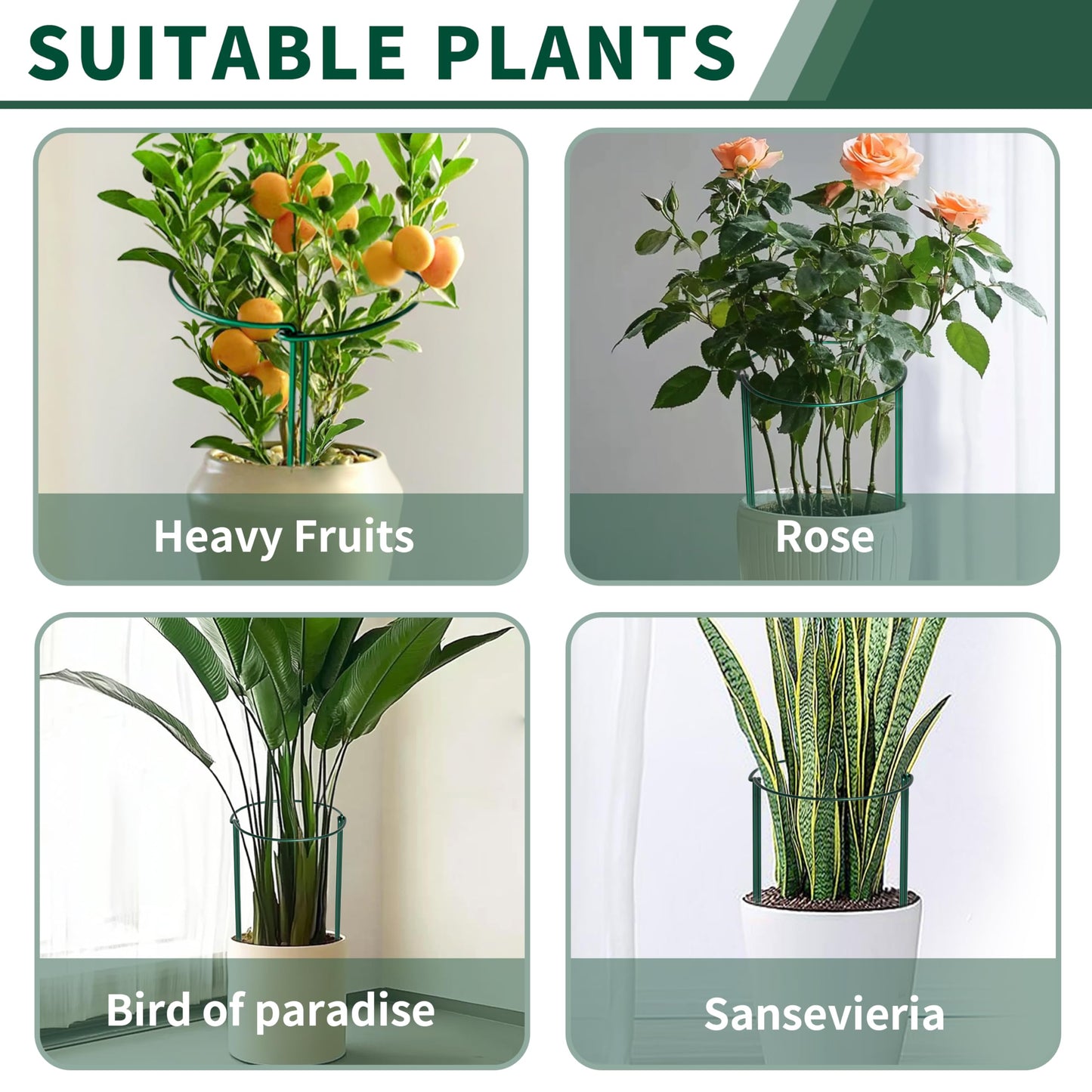 SORANGEUN Peony Support Cage 24 Inch Tall, 10 Pack Half Round Metal Plant Support Stakes for Peonies, Tomatoes, Hydrangeas, Outdoor Garden, 60cm Height, Green