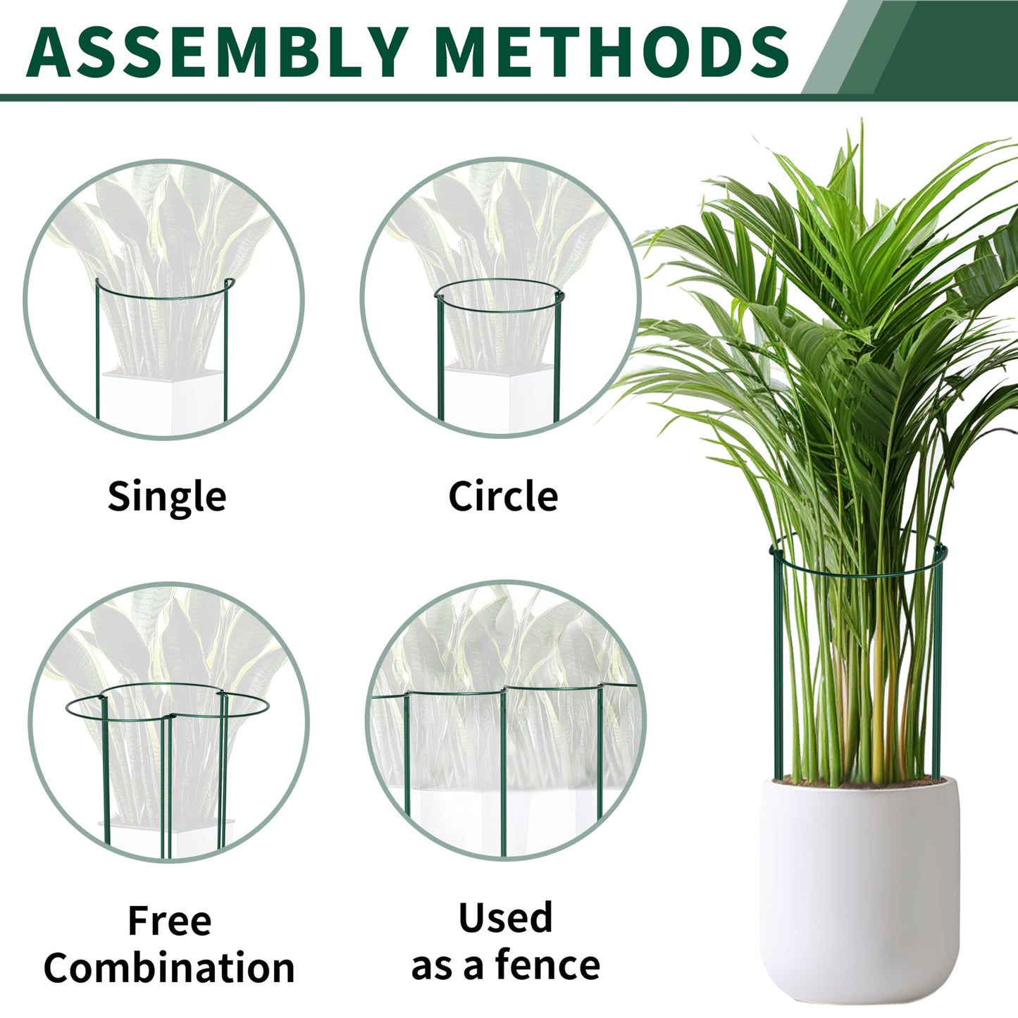 SORANGEUN Peony Support Cage 24 Inch Tall, 10 Pack Half Round Metal Plant Support Stakes for Peonies, Tomatoes, Hydrangeas, Outdoor Garden, 60cm Height, Green