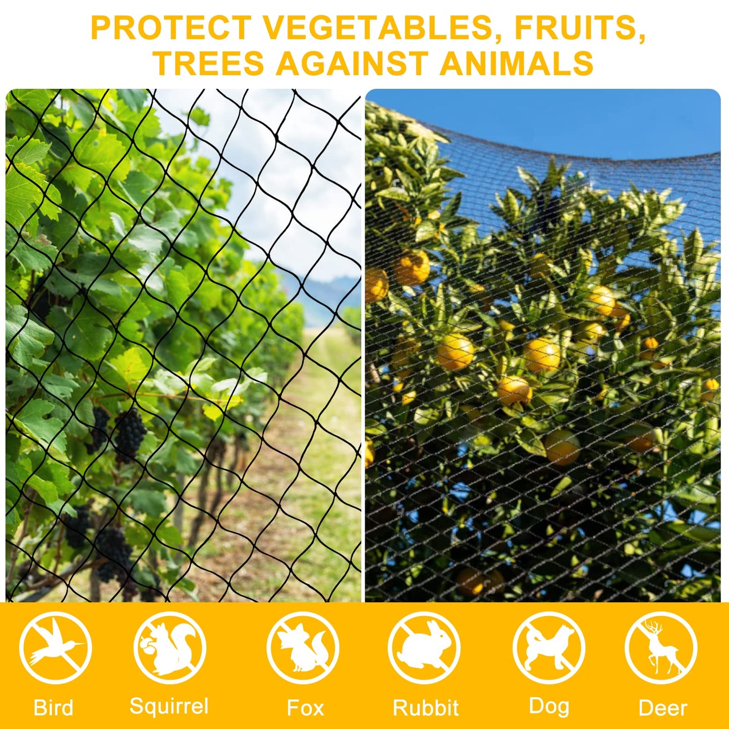 Bird Net 25'x50' With 2.4" Square Mesh for Garden, Chicken Coop, Poultry, Aviary - Heavy Duty Nylon Netting for Pests, Deer Fence, Fruit Trees