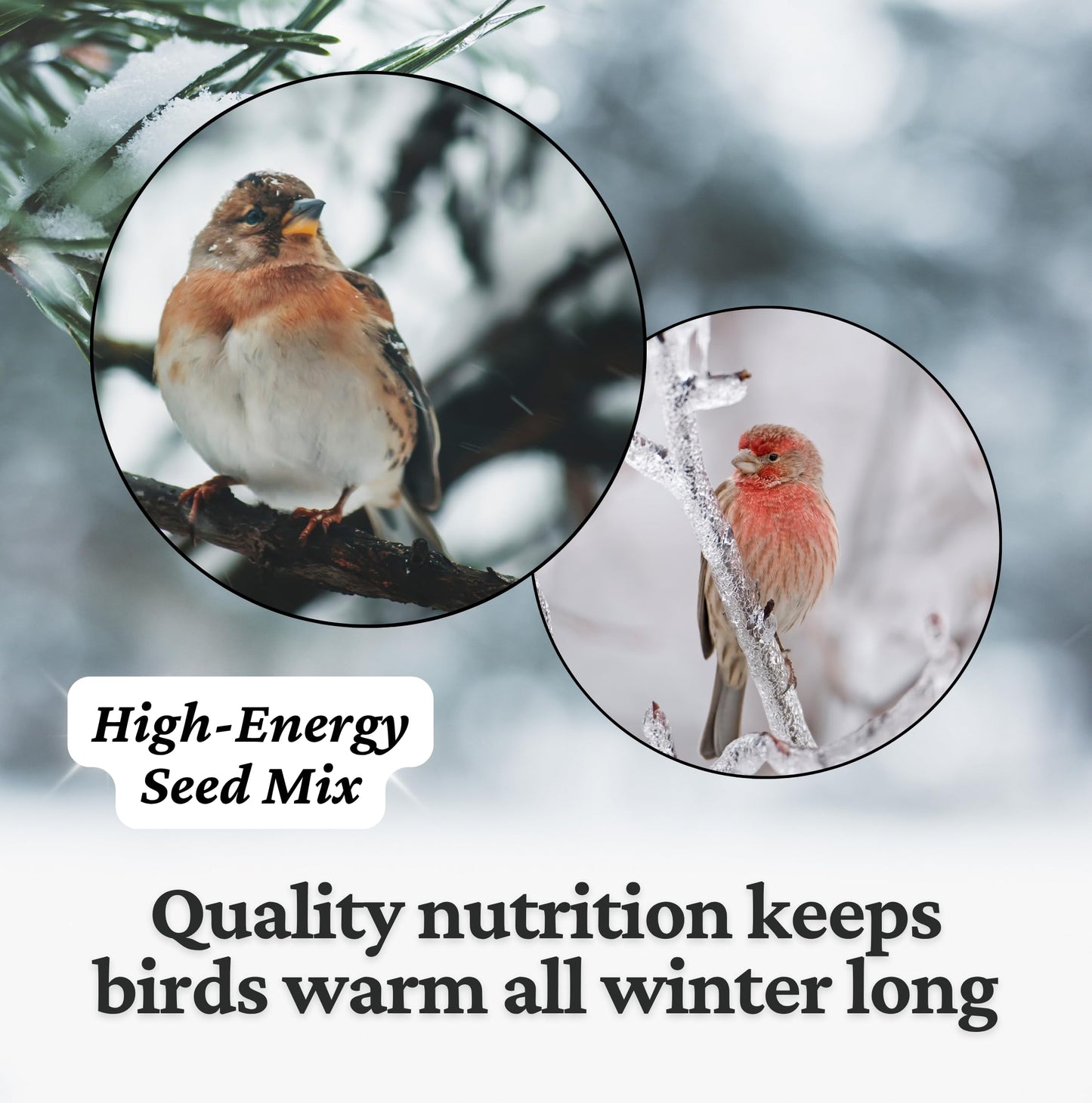 Agri-Tel Grain Wild Finch & Small Bird Food for Outside Feeders | Nyjer (Thistle) Bird Seed, Canary Seed, Millet, Hemp, etc | Finch Feed 4kg (9 lbs)