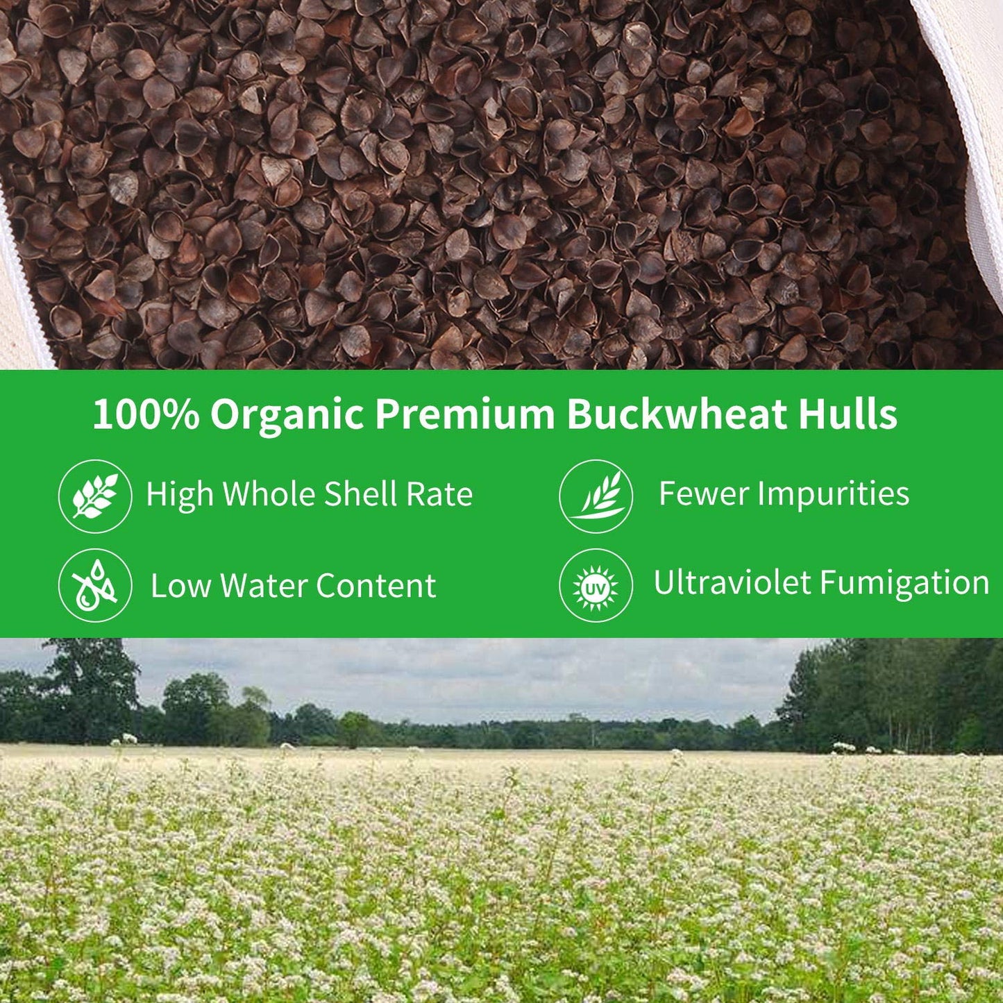 Organic Buckwheat Pillow for Sleeping, 100% Natural Premium buckwheat Hulls, Organic Cotton Cover with for Cool Sleep, Neck Support for Back and Side Sleepers, Buckwheat Pillow Refill - Large/Small (Big Size (26" x 20"))