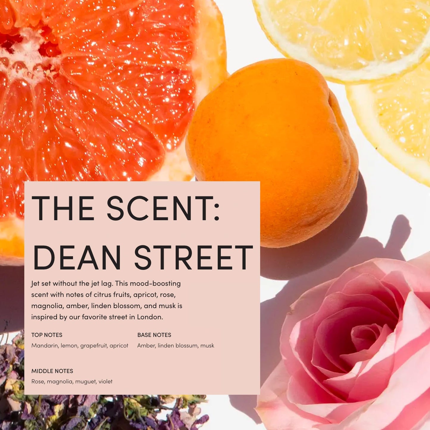 OUAI Body Cleanser Refill, Dean Street - Foaming Body Wash with Jojoba Oil and Rosehip Oil to Hydrate, Nurture, Balance and Soften Skin - Paraben, Phthalate and Sulfate Free Skin Care Products - 32 Oz