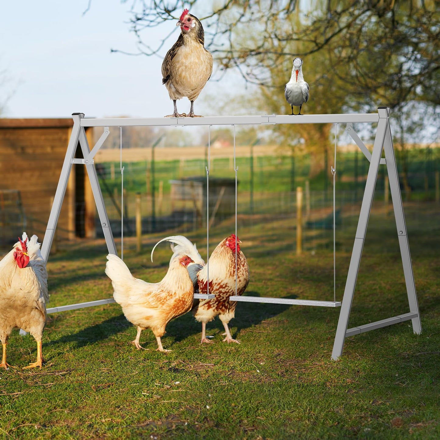 Chicken Roosting Bars Chicken Perch with 2 Swings, Chicken Roost Activity Play for Coop Accessories, Farm Enrichment Toys for Poultry Hens Healthy and Happy
