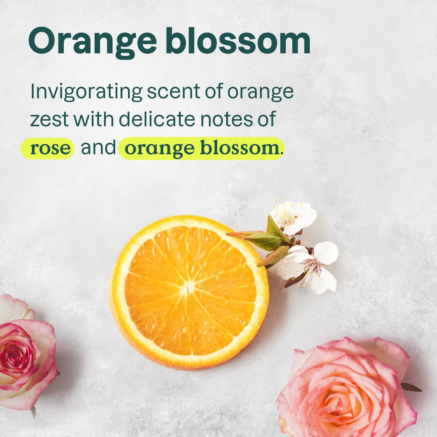 ATTITUDE Nourishing Shampoo for Curly Hair with Moringa Oil, EWG Verified, Vegan and Naturally Derived, 3a, 3b, 3c Curl Type, Provides Lightweight Moisture to Curls, 473 mL (Pack of 6)